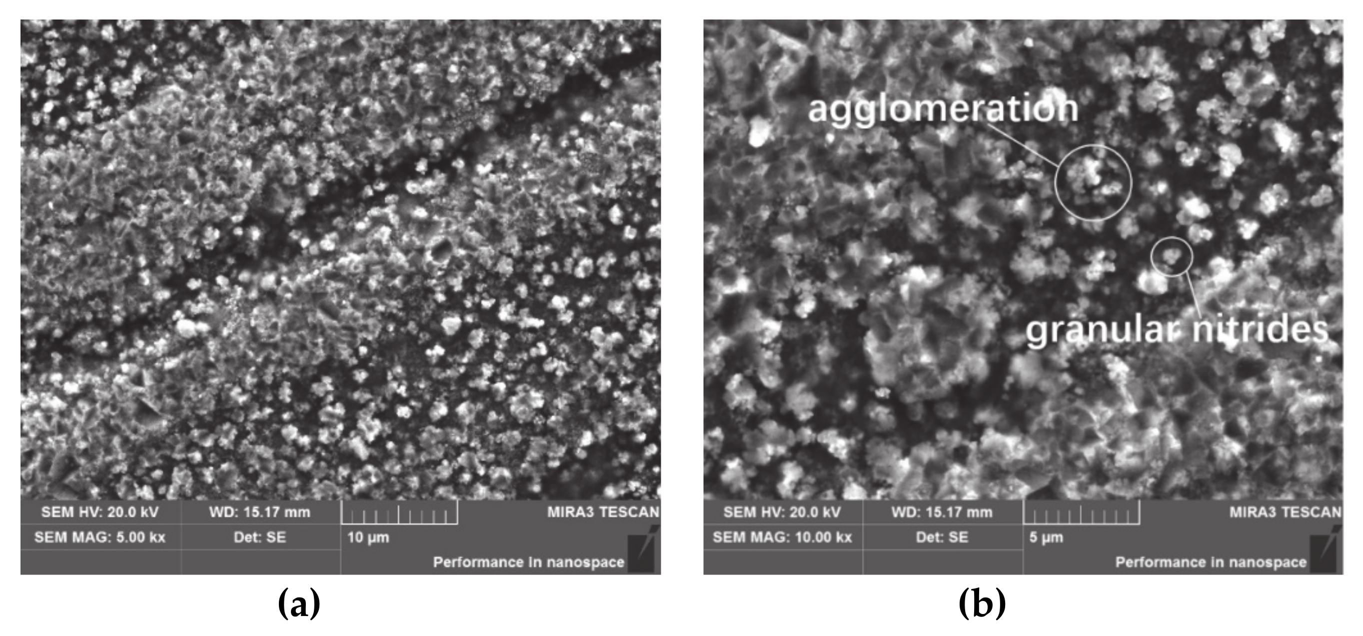 Coatings 10 00528 g003 550