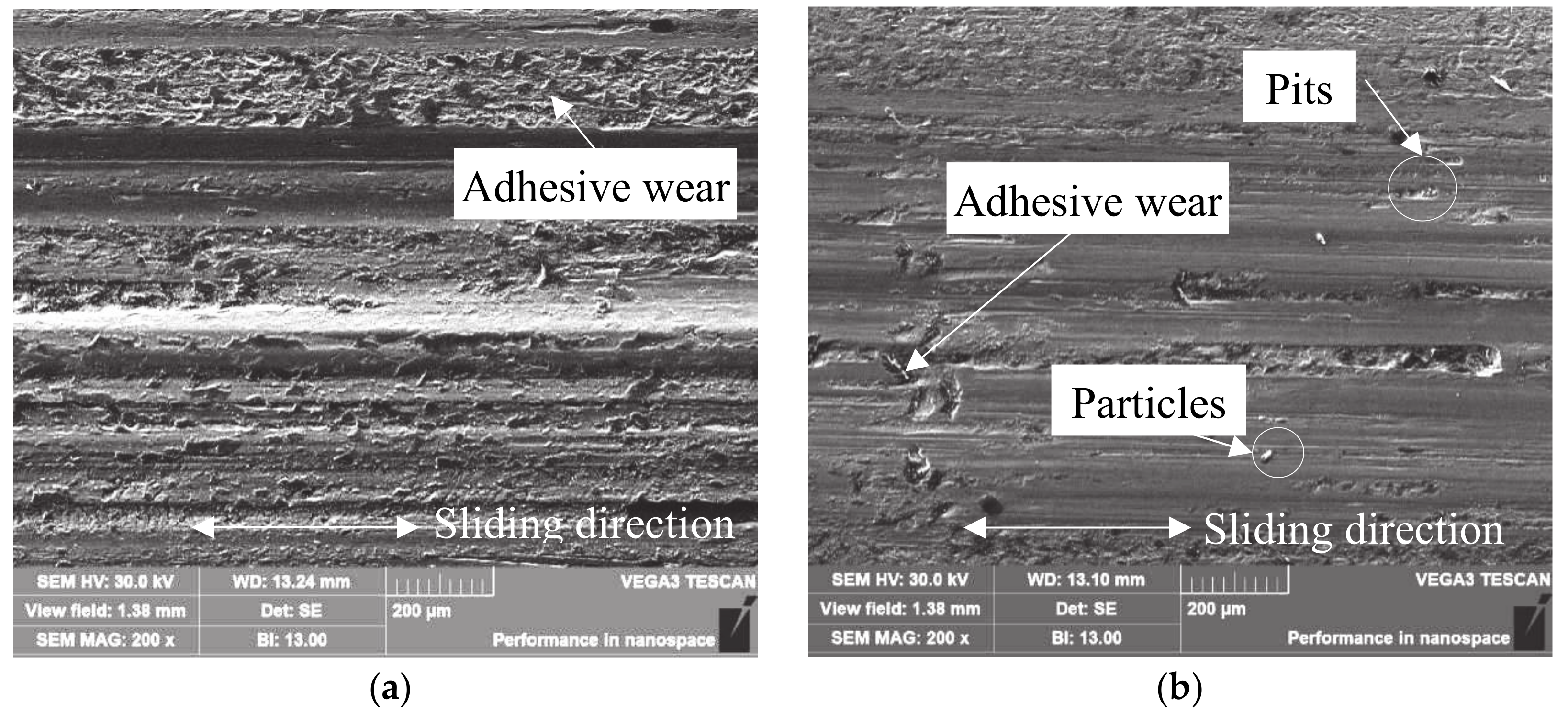 Coatings 10 00528 g007a 550