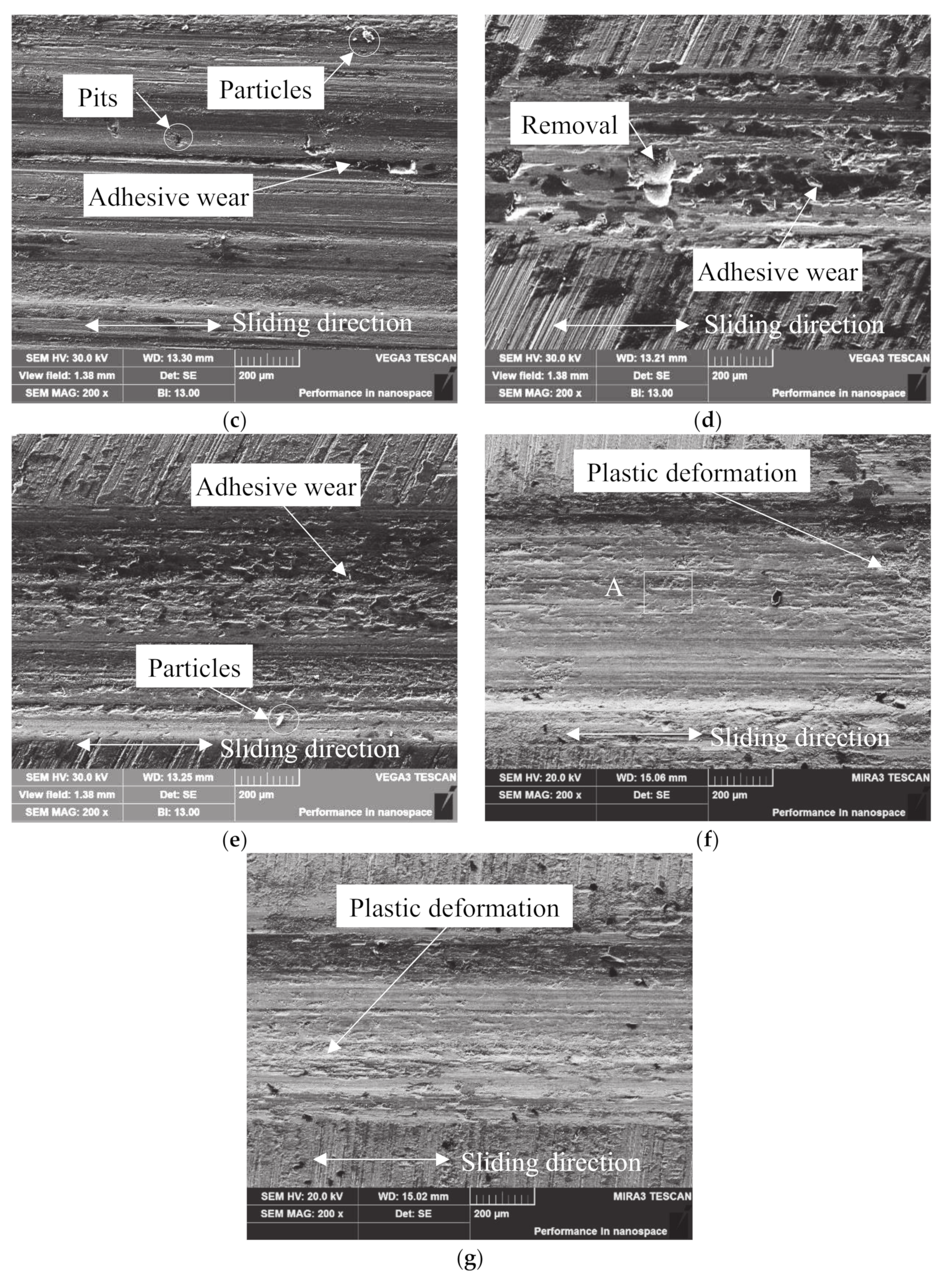 Coatings 10 00528 g007b 550