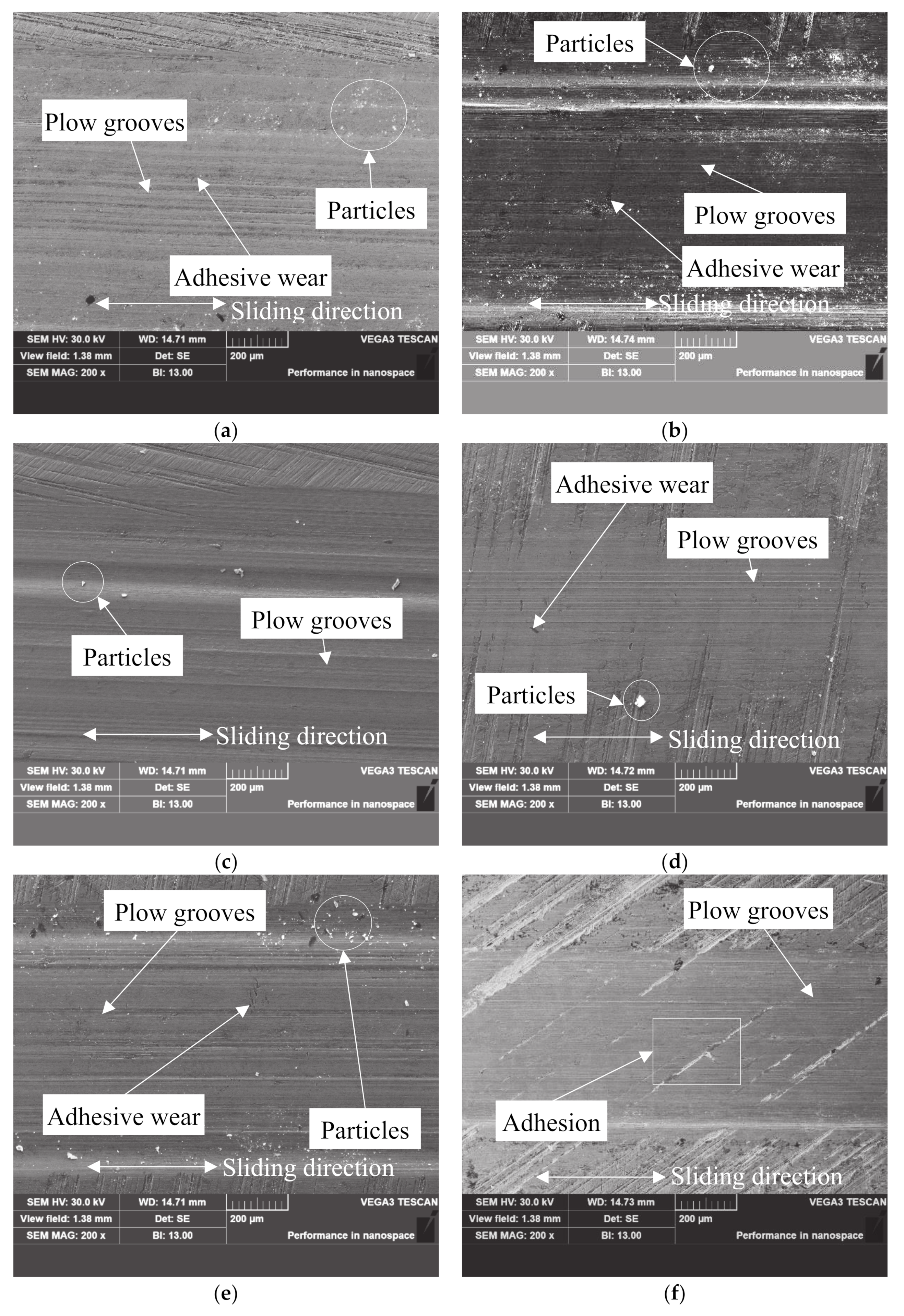 Coatings 10 00528 g008a 550