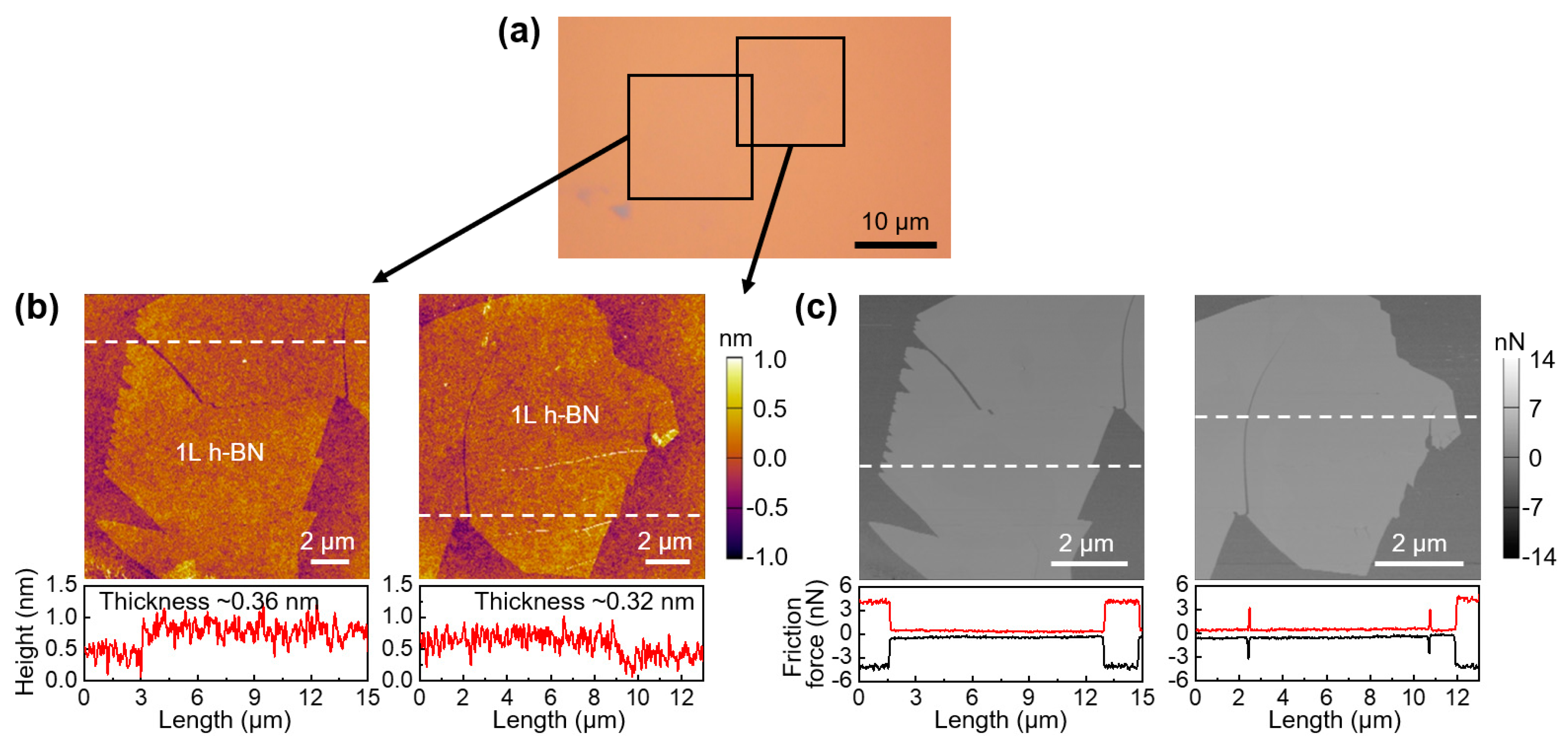 Coatings 10 00530 g001 Coatings 10 00530 g001