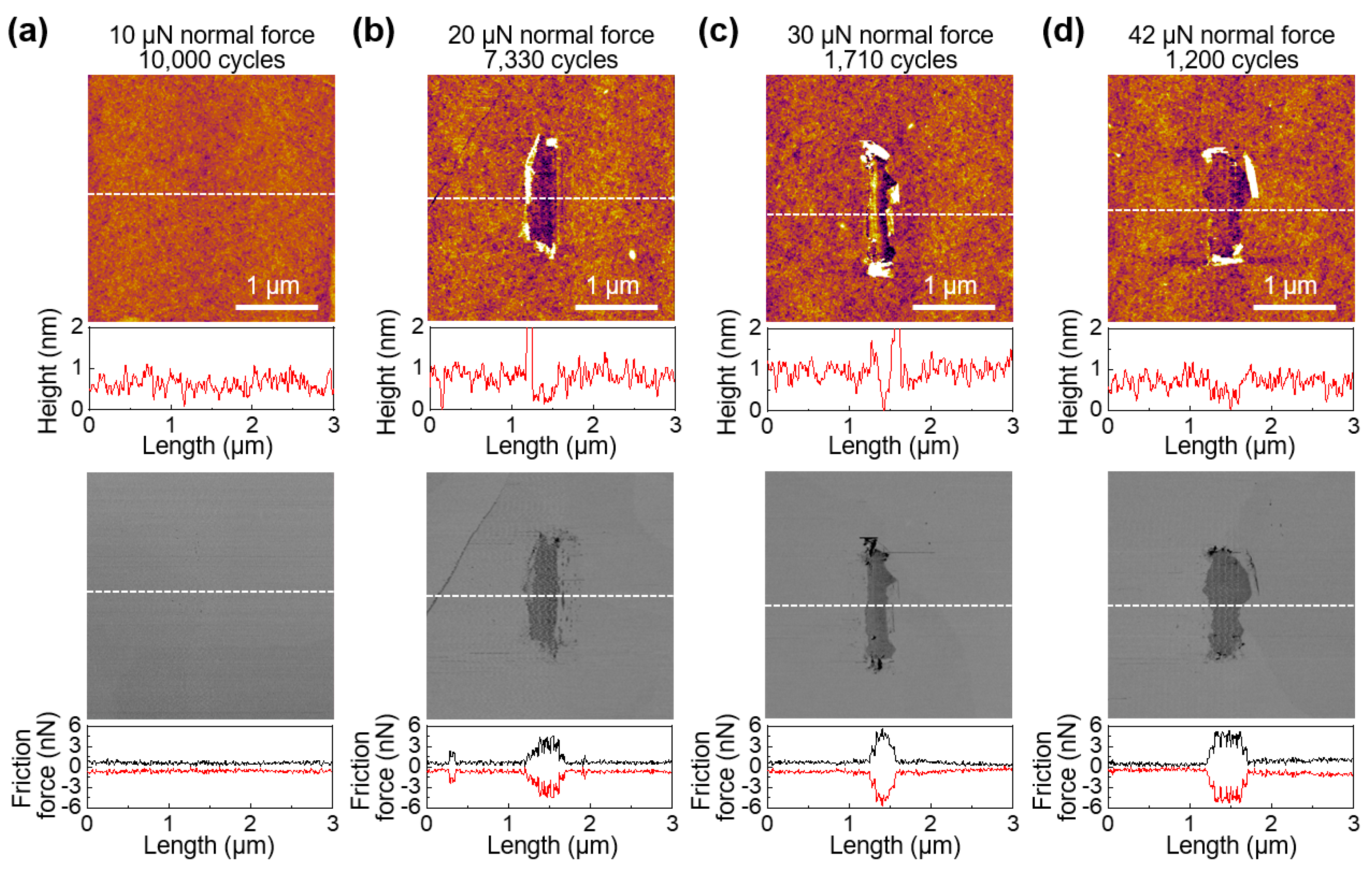 Coatings 10 00530 g003 Coatings 10 00530 g003