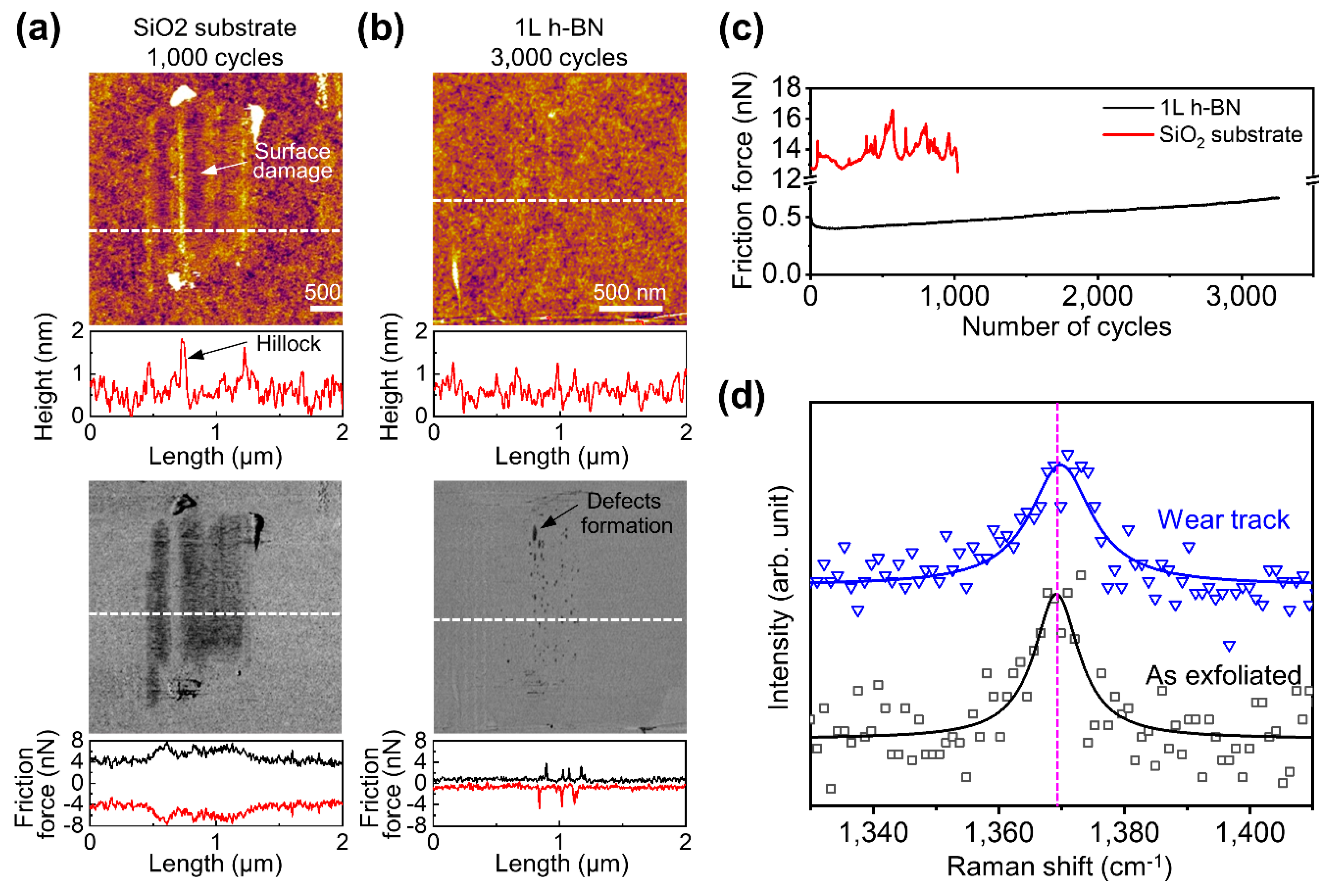 Coatings 10 00530 g004 Coatings 10 00530 g004