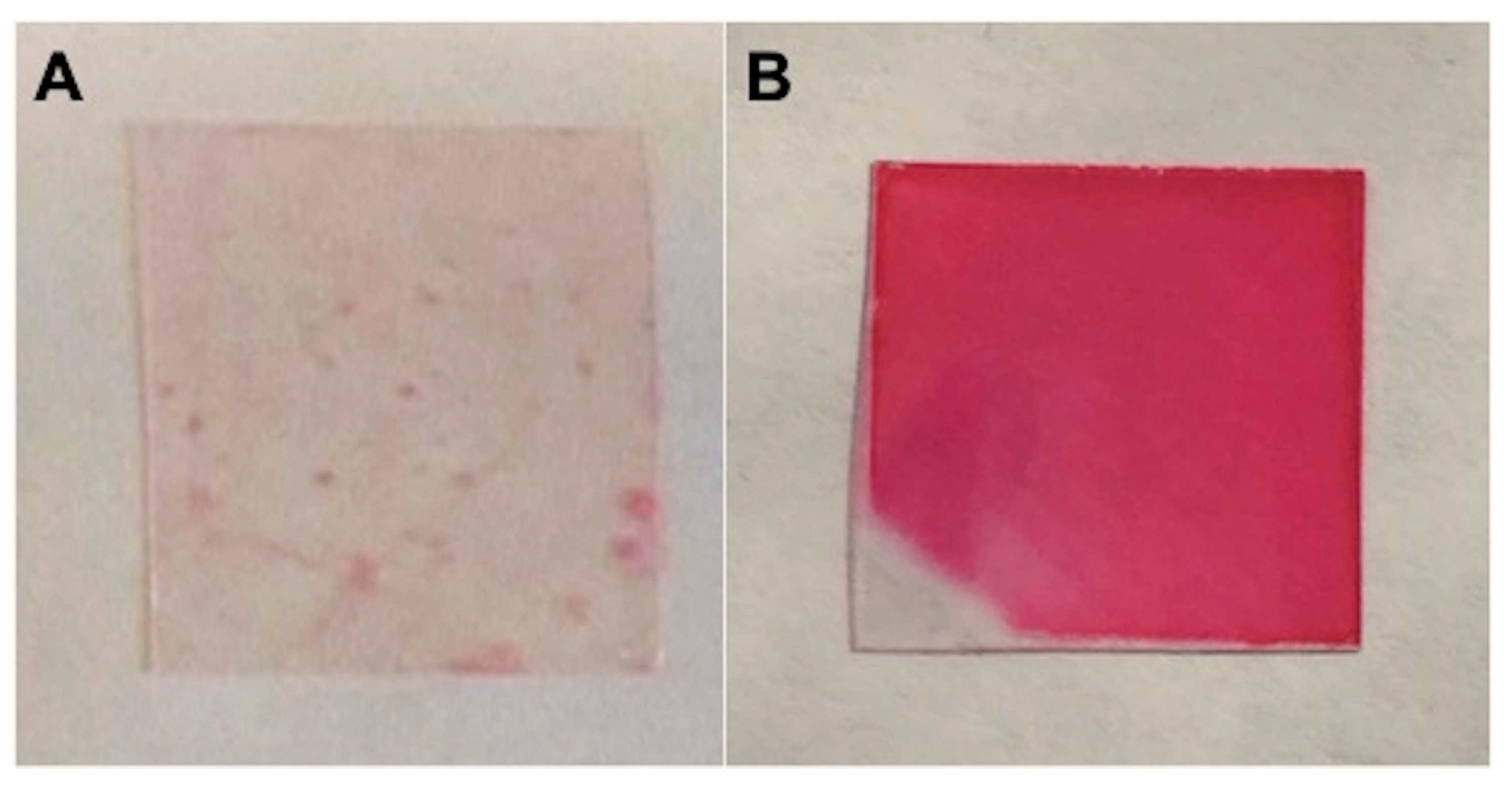 Coatings 10 00532 g001