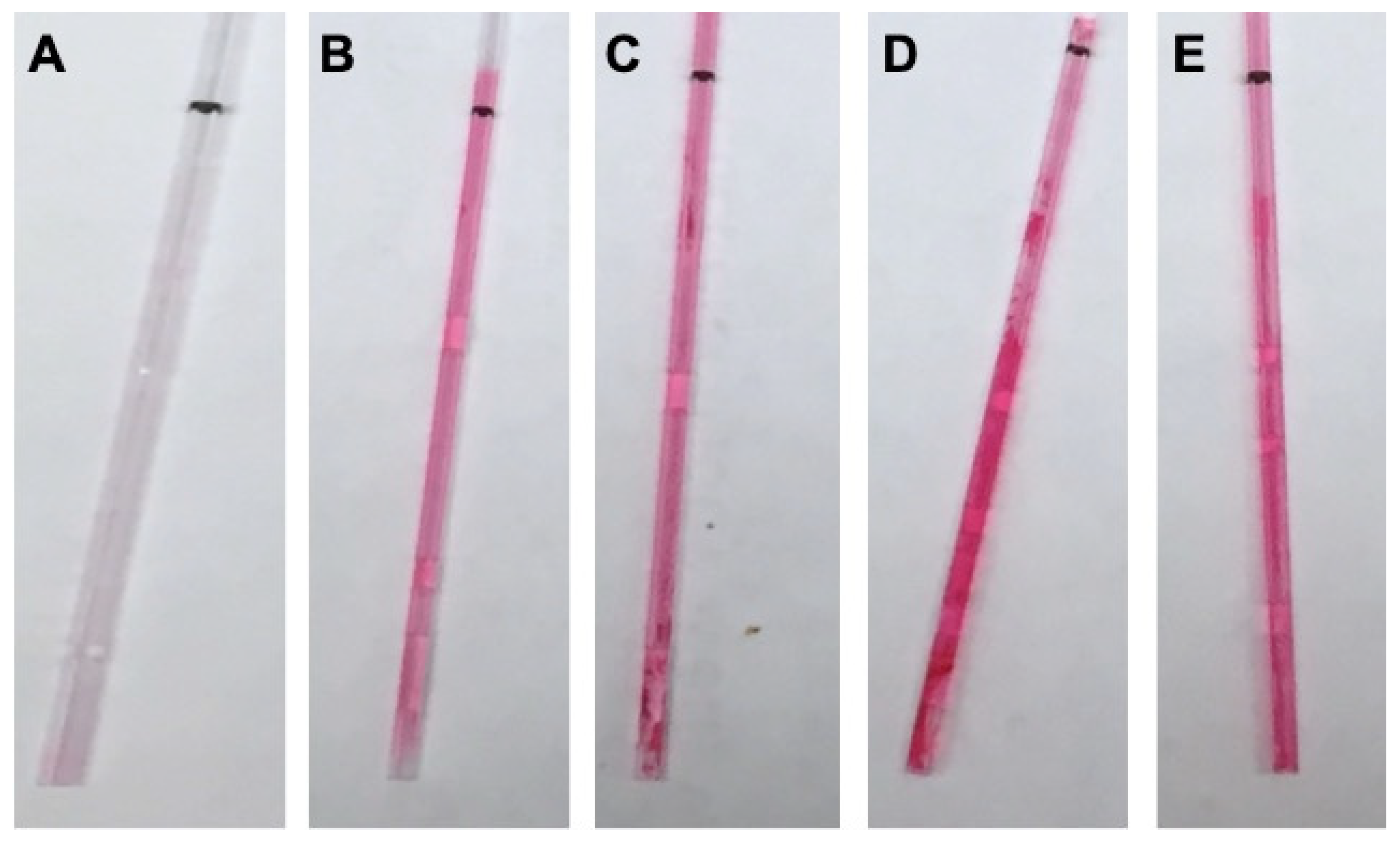 Coatings 10 00532 g003