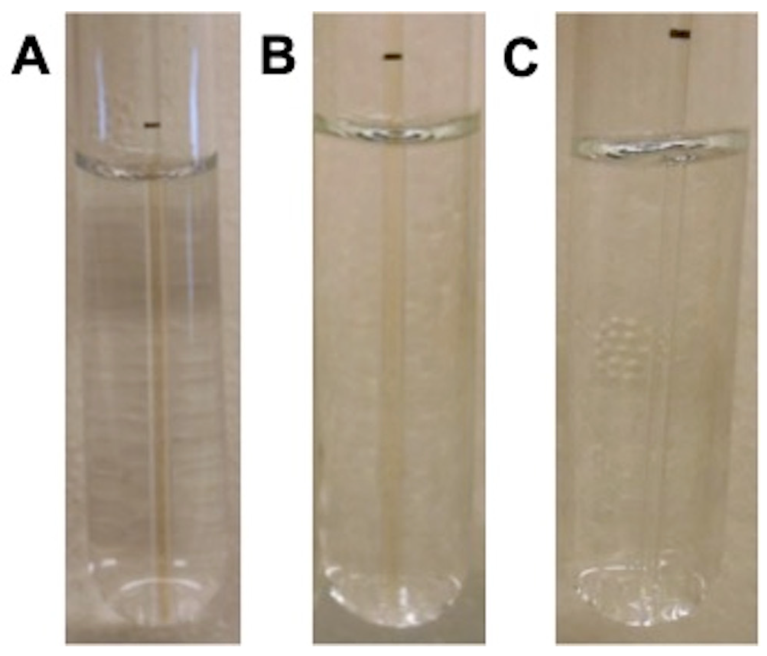 Coatings 10 00532 g005
