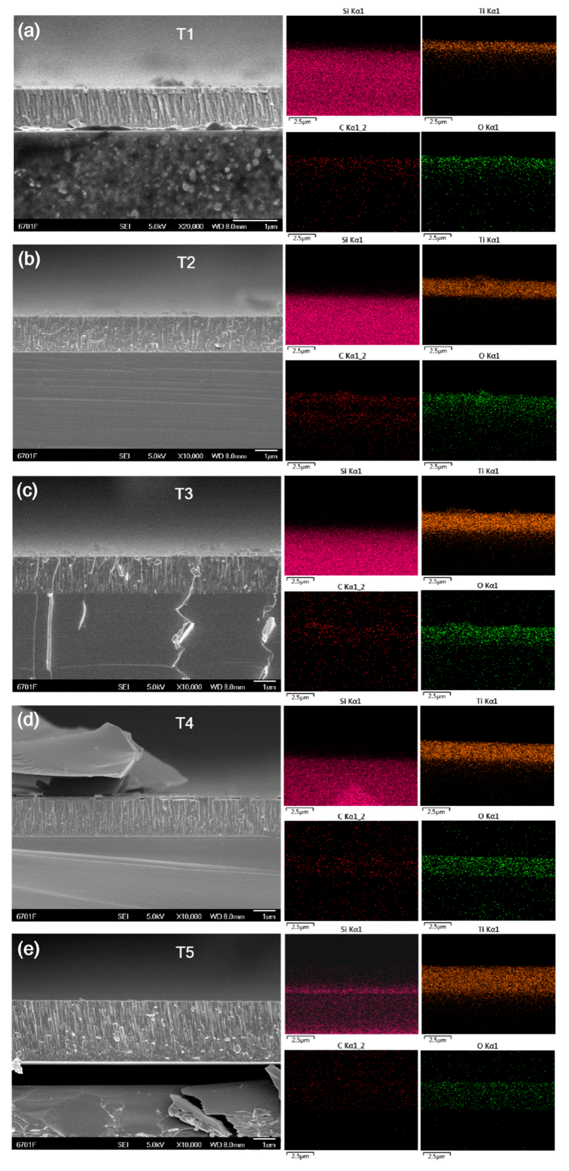 Coatings 10 00533 g004