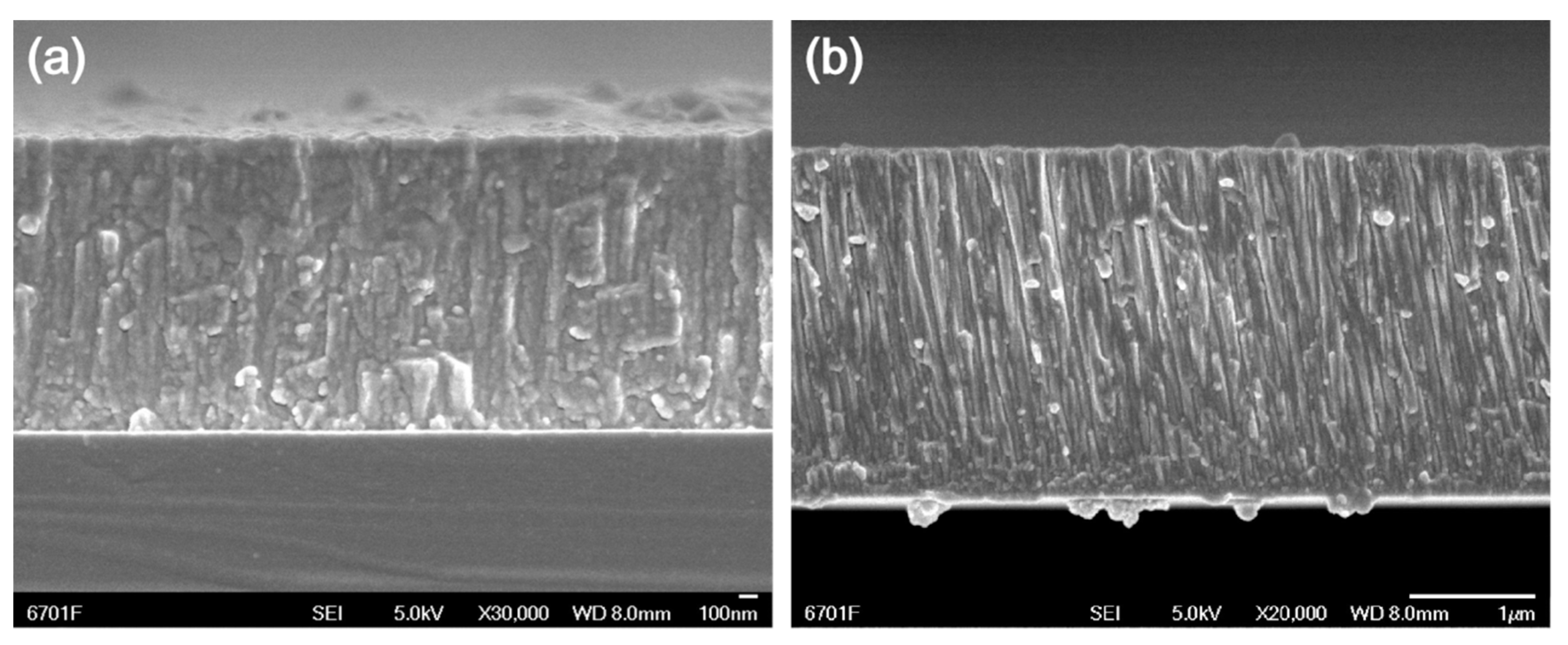 Coatings 10 00533 g006
