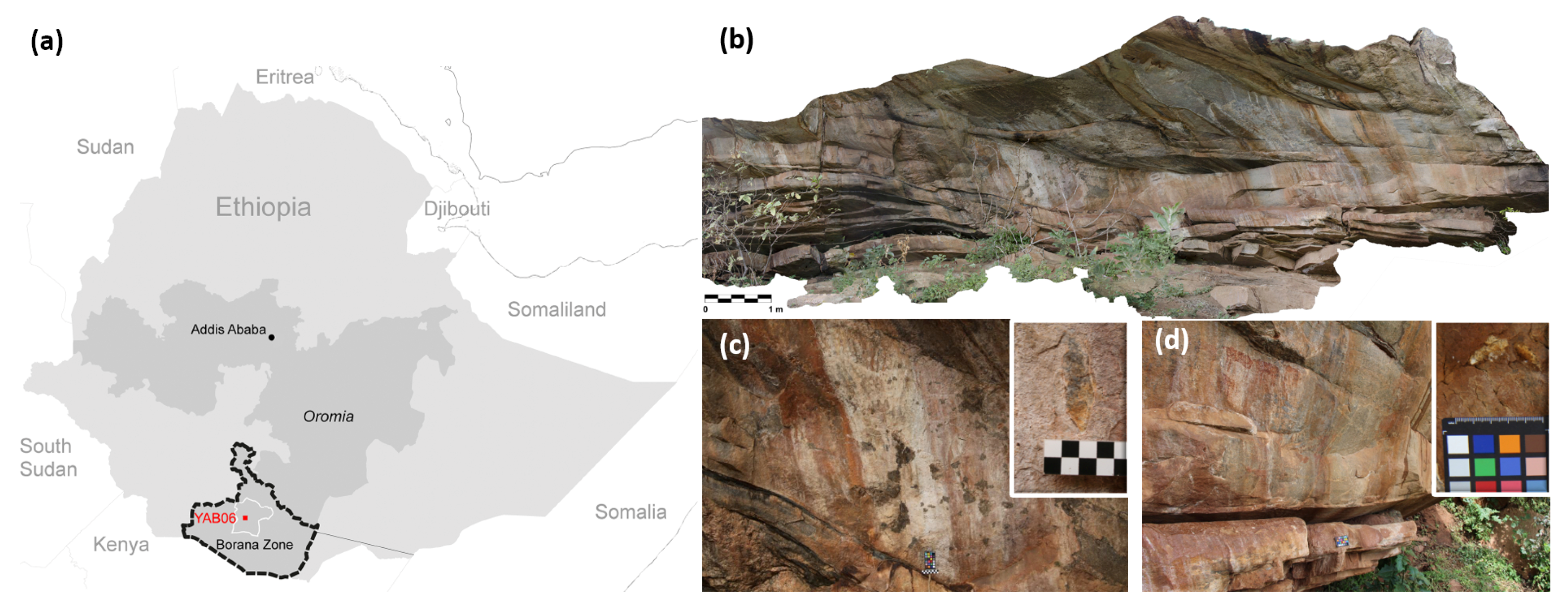 Coatings 10 00536 g001 Coatings 10 00536 g001