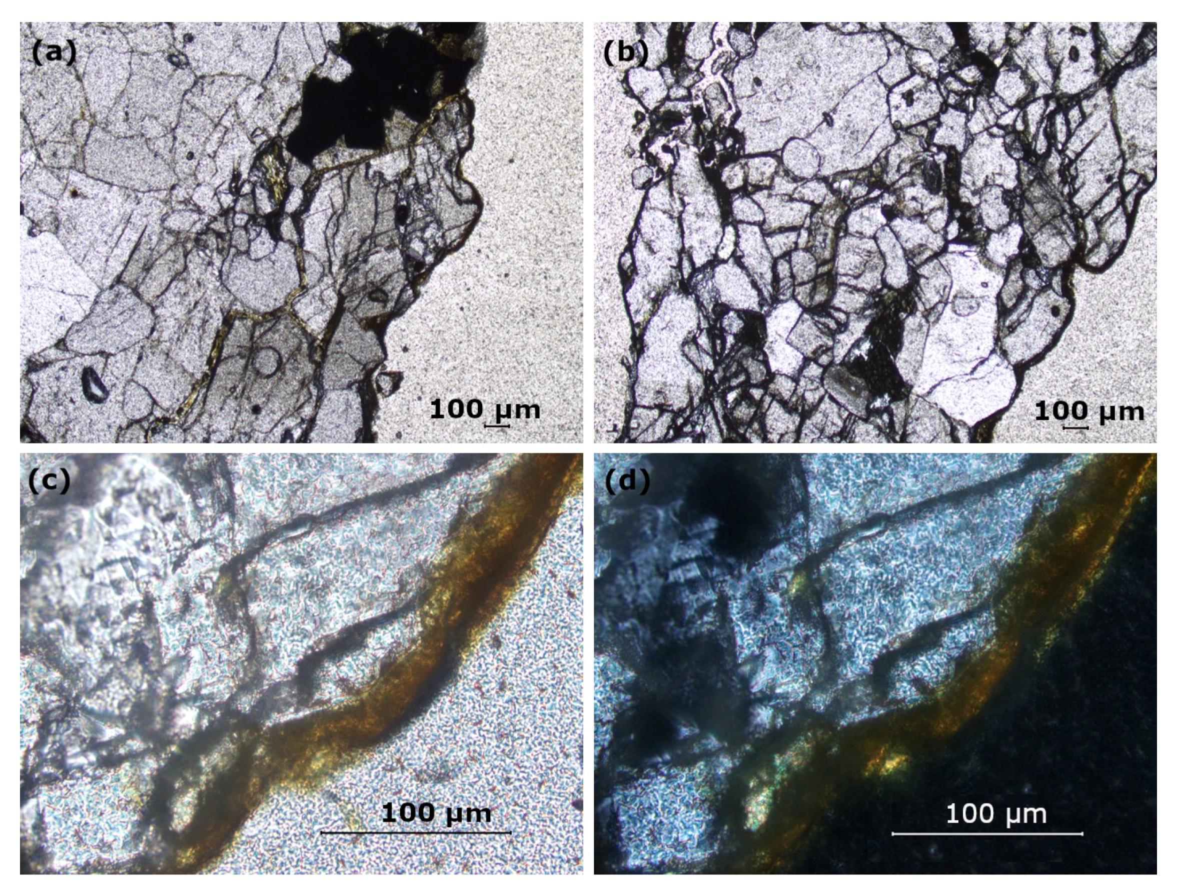 Coatings 10 00536 g002 Coatings 10 00536 g002