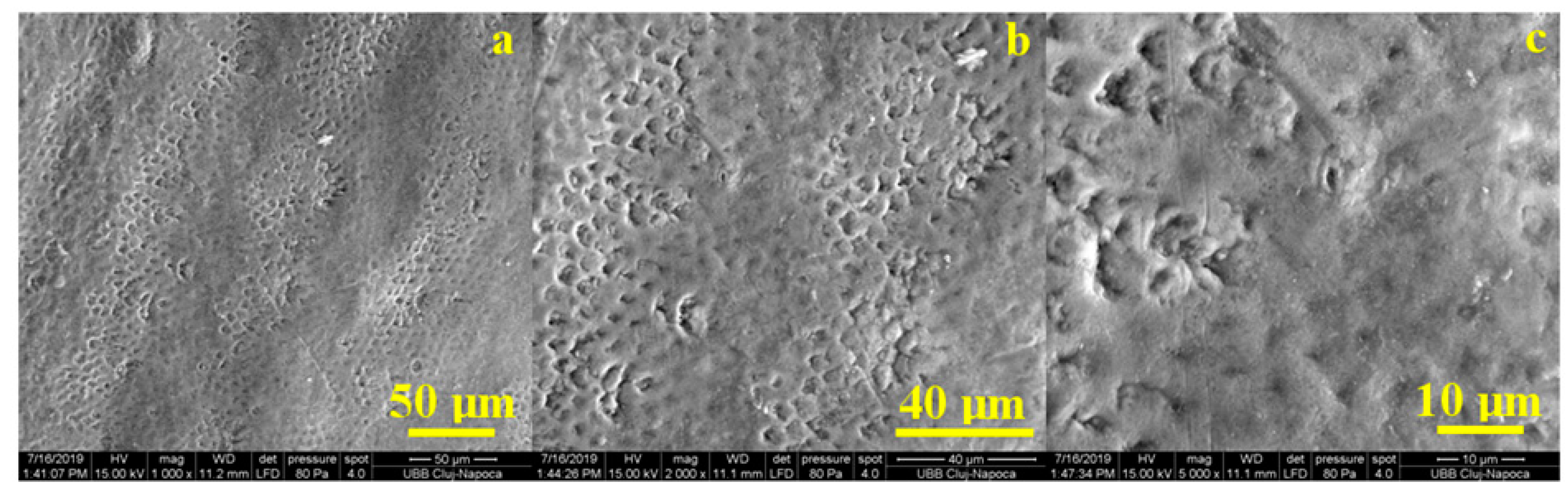 Coatings 10 00537 g007