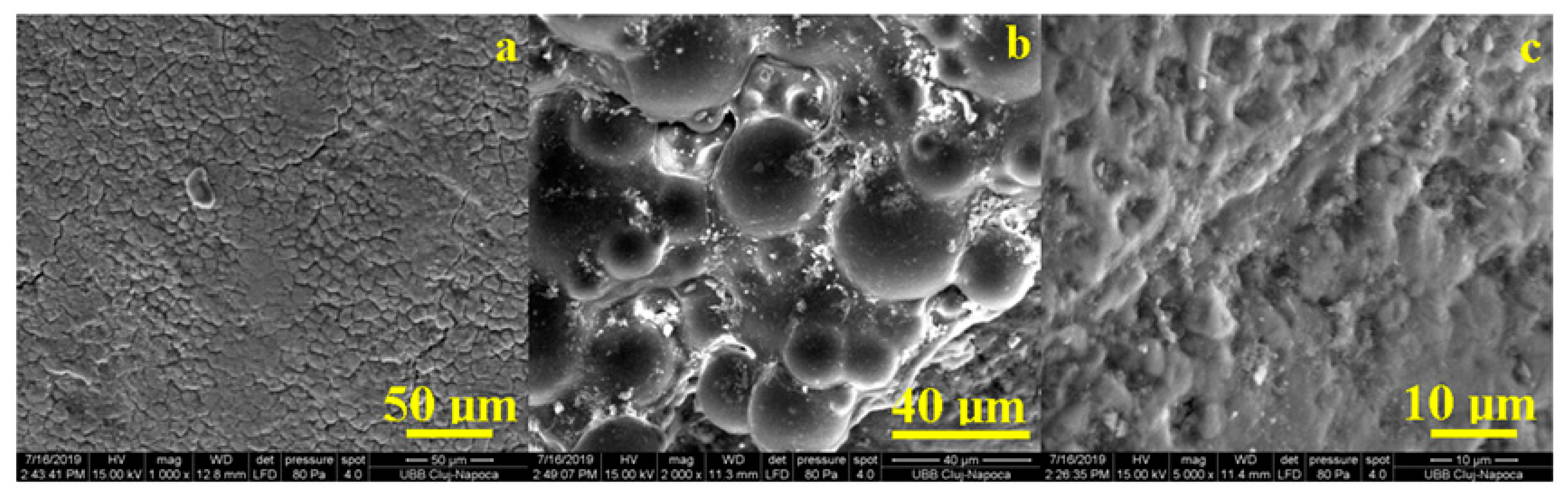 Coatings 10 00537 g008