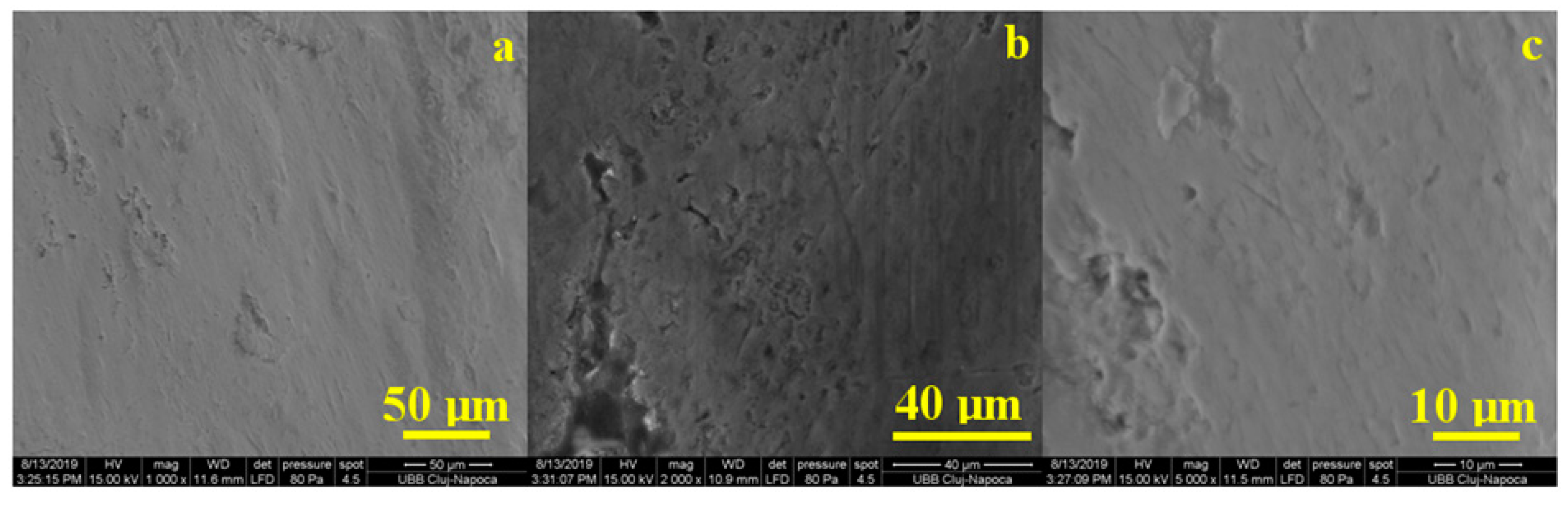 Coatings 10 00537 g009