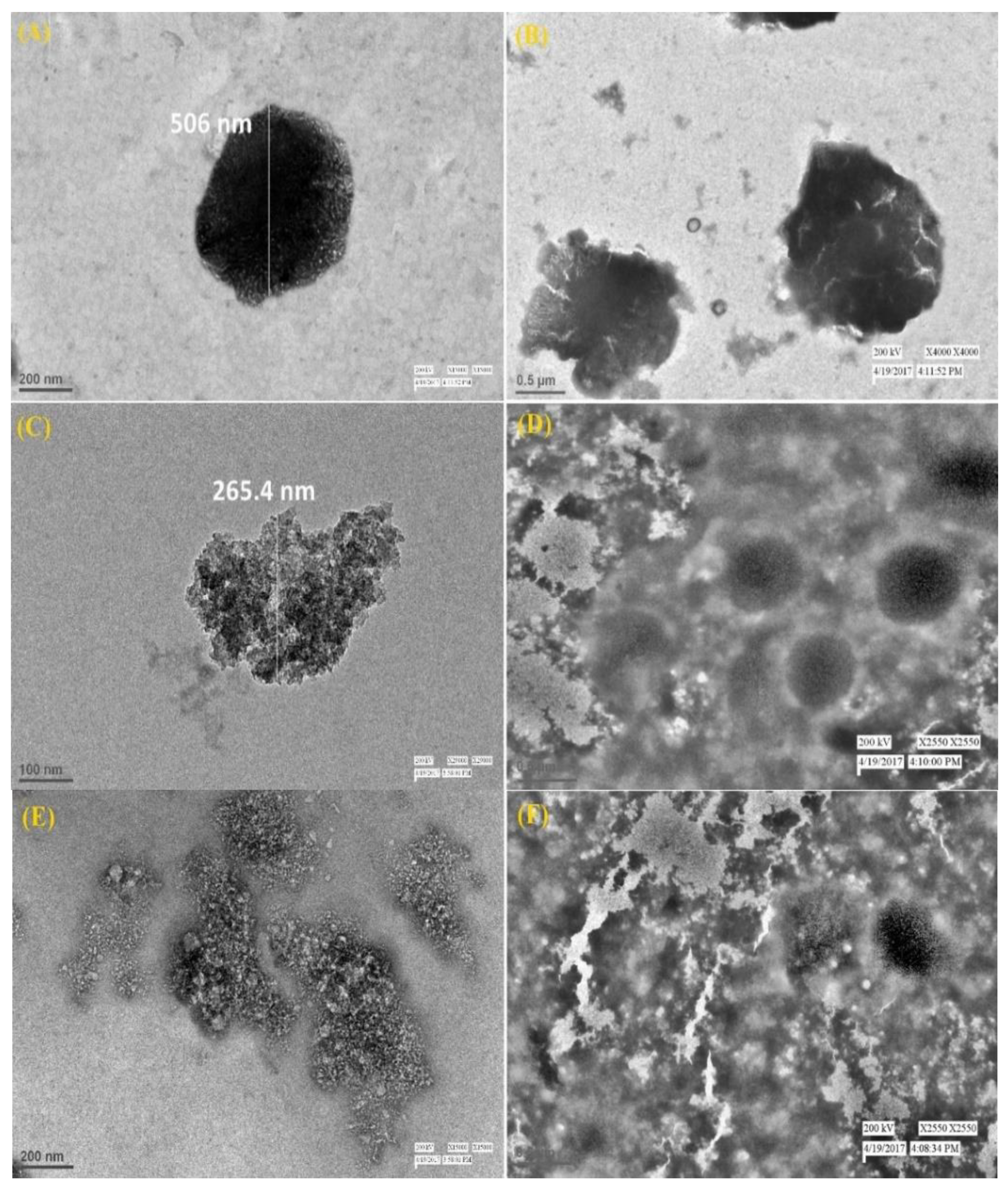 Coatings 10 00538 g003 Coatings 10 00538 g003