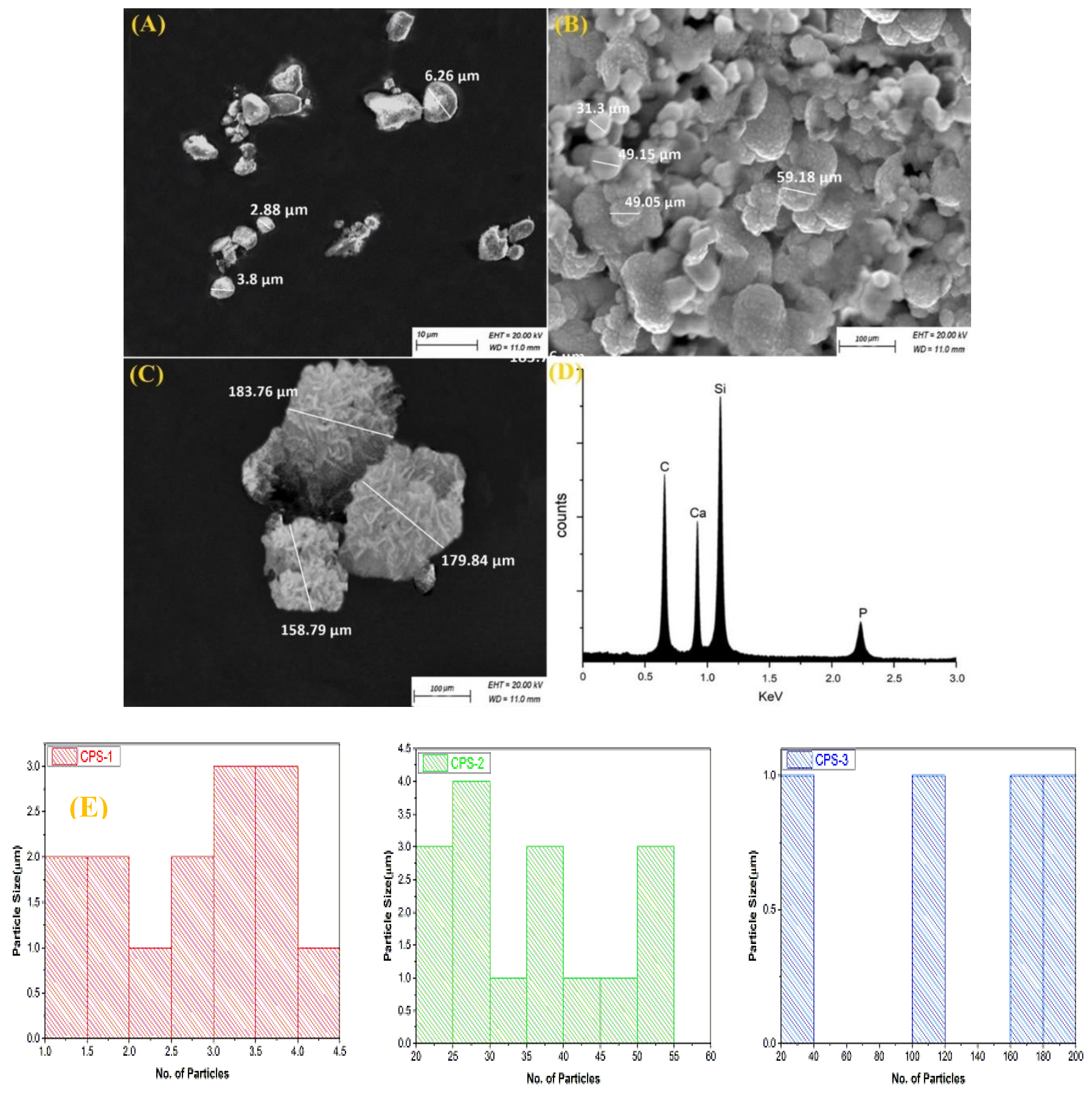 Coatings 10 00538 g004 Coatings 10 00538 g004