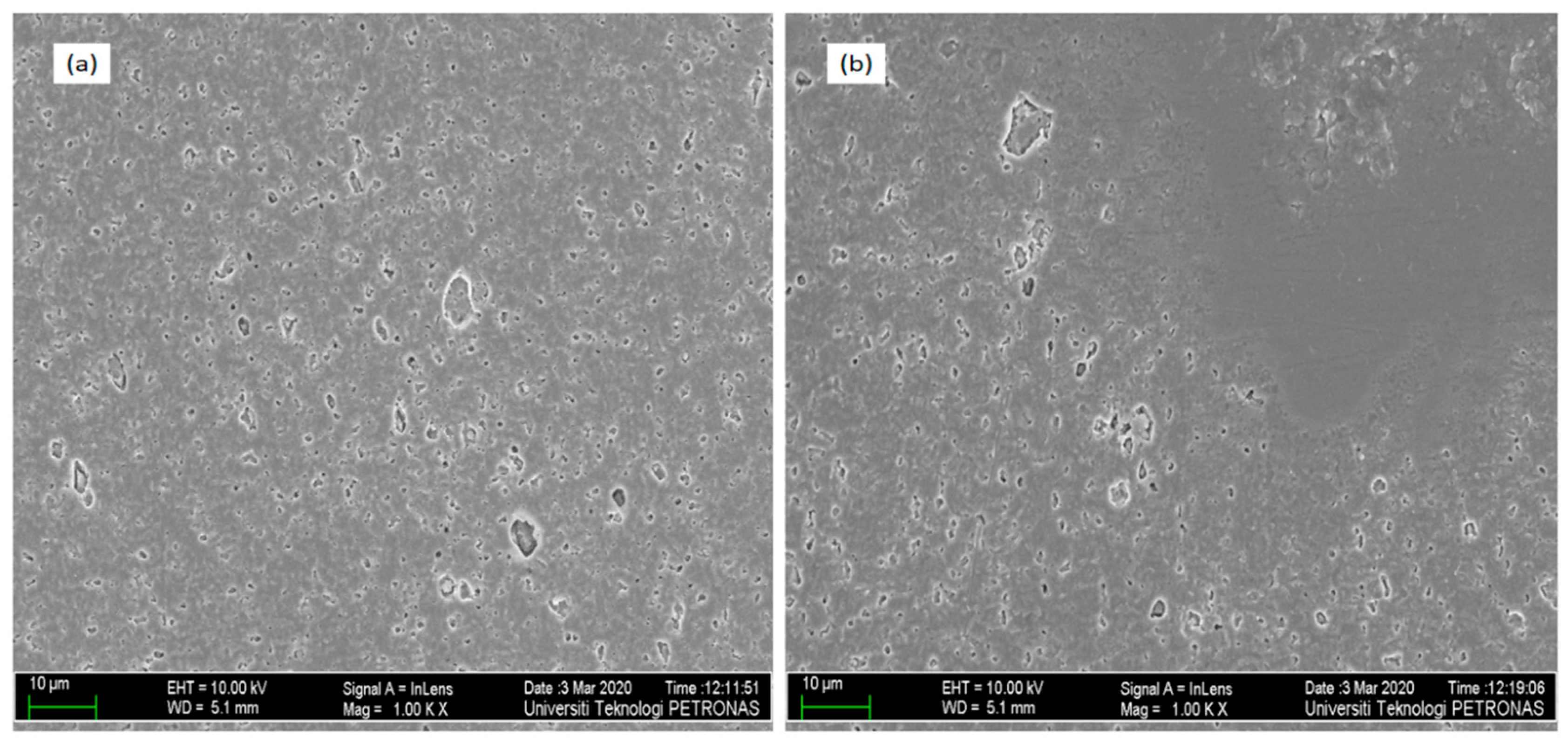 Coatings 10 00541 g002 Coatings 10 00541 g002