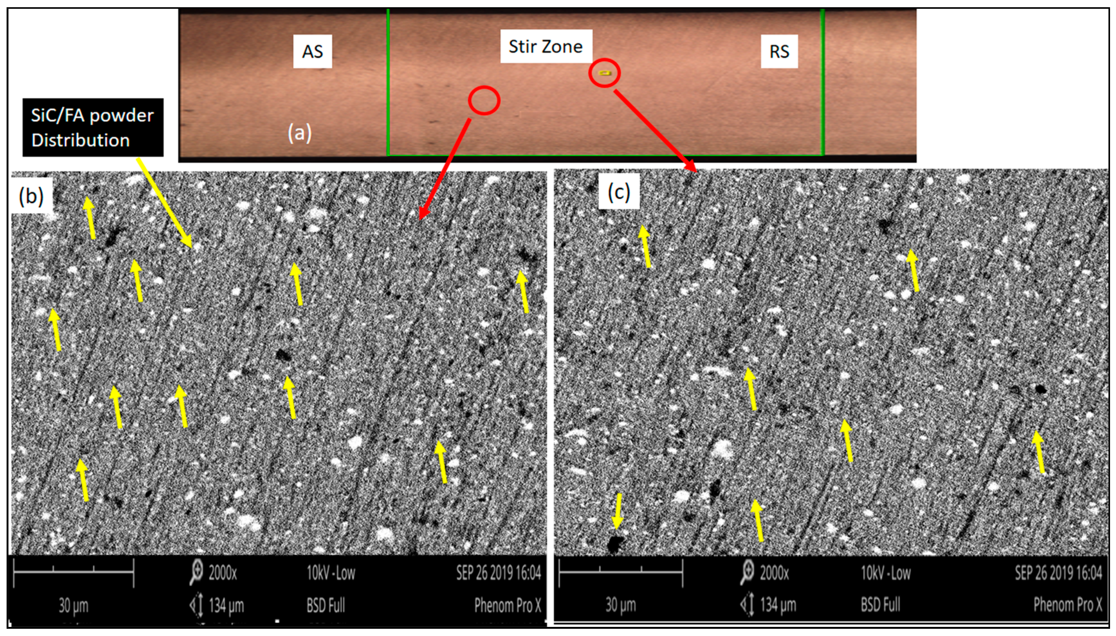 Coatings 10 00541 g004 Coatings 10 00541 g004
