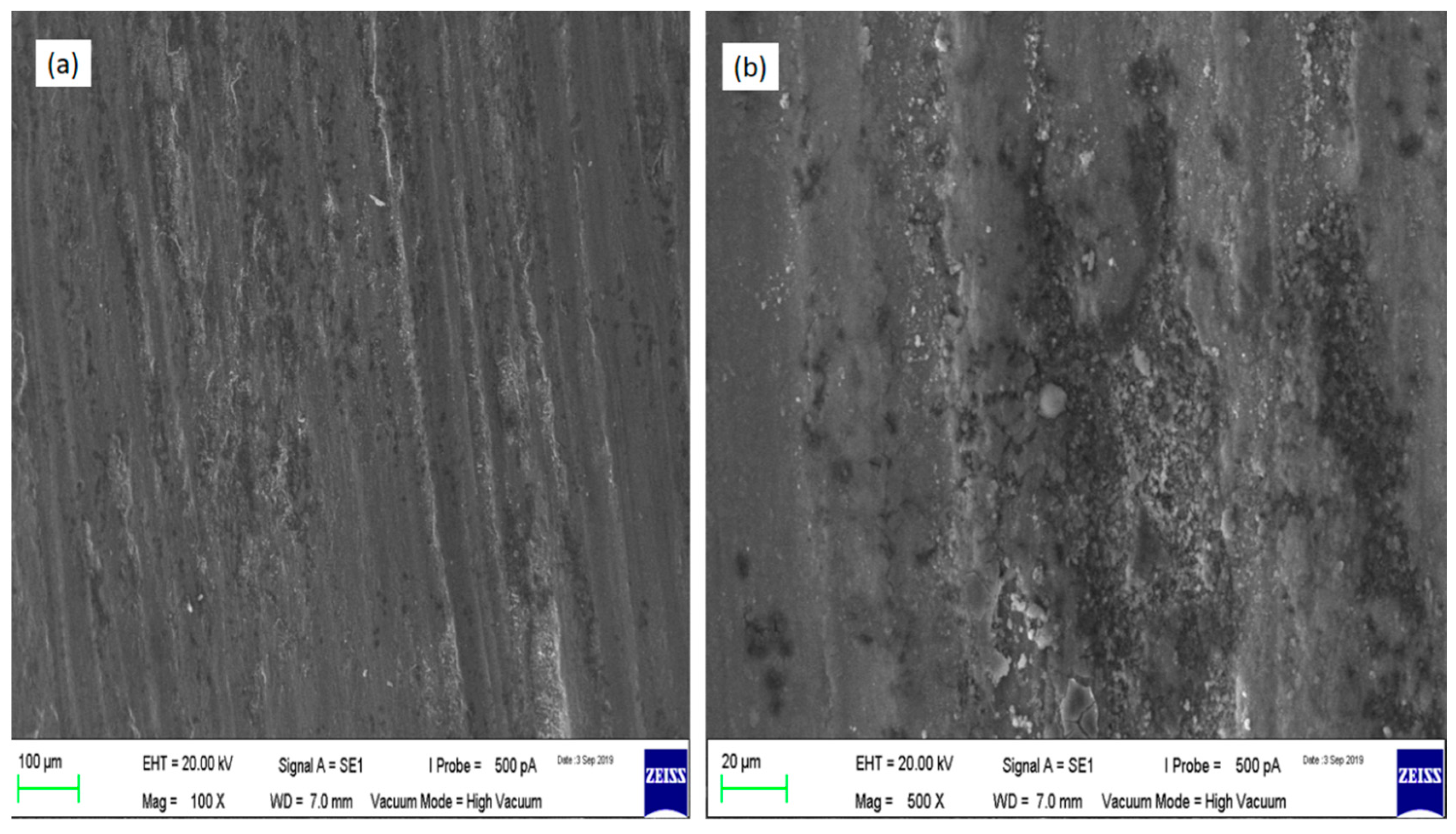 Coatings 10 00541 g011 Coatings 10 00541 g011
