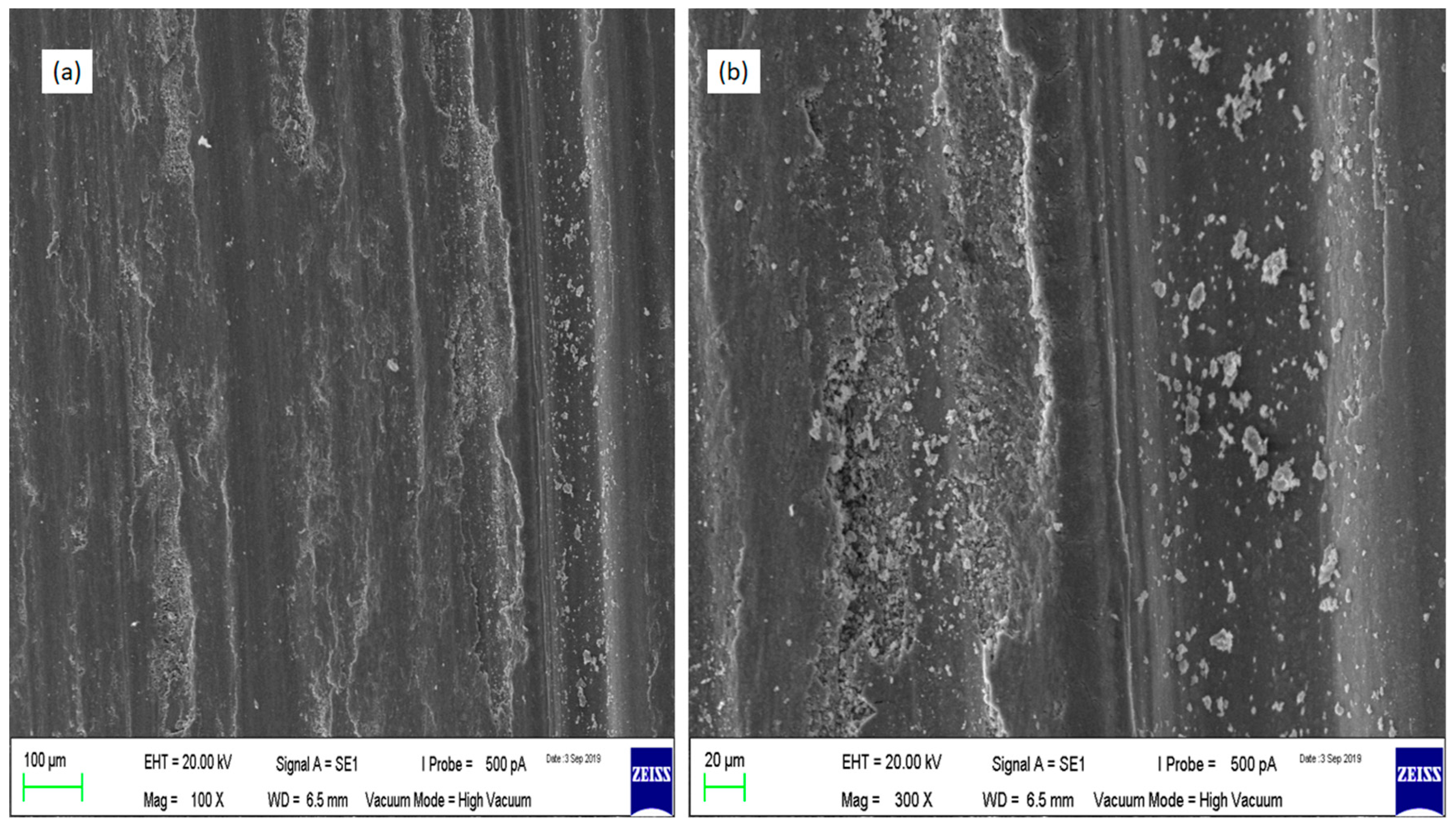 Coatings 10 00541 g012 Coatings 10 00541 g012