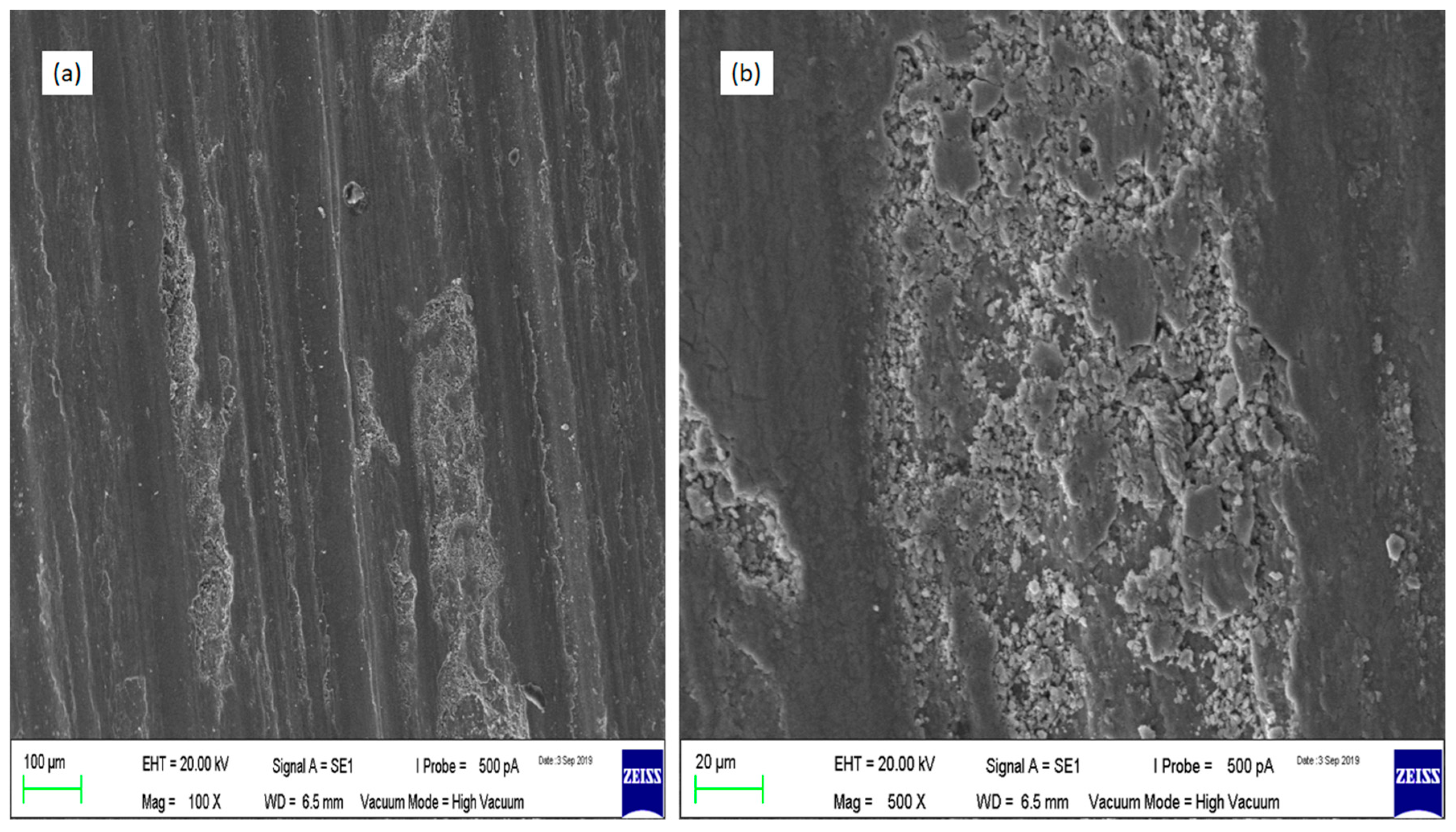 Coatings 10 00541 g013 Coatings 10 00541 g013
