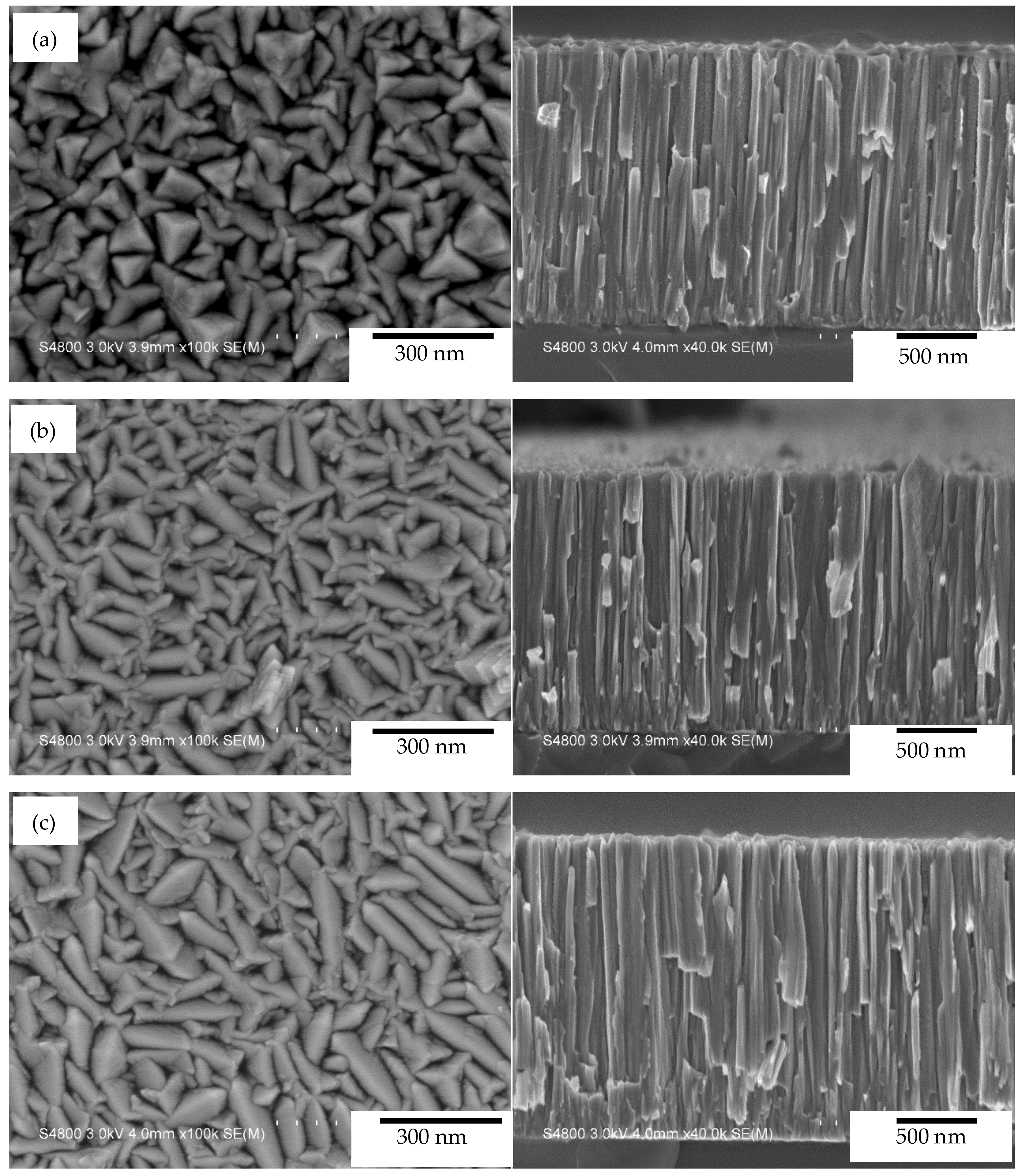 Coatings 10 00542 g003