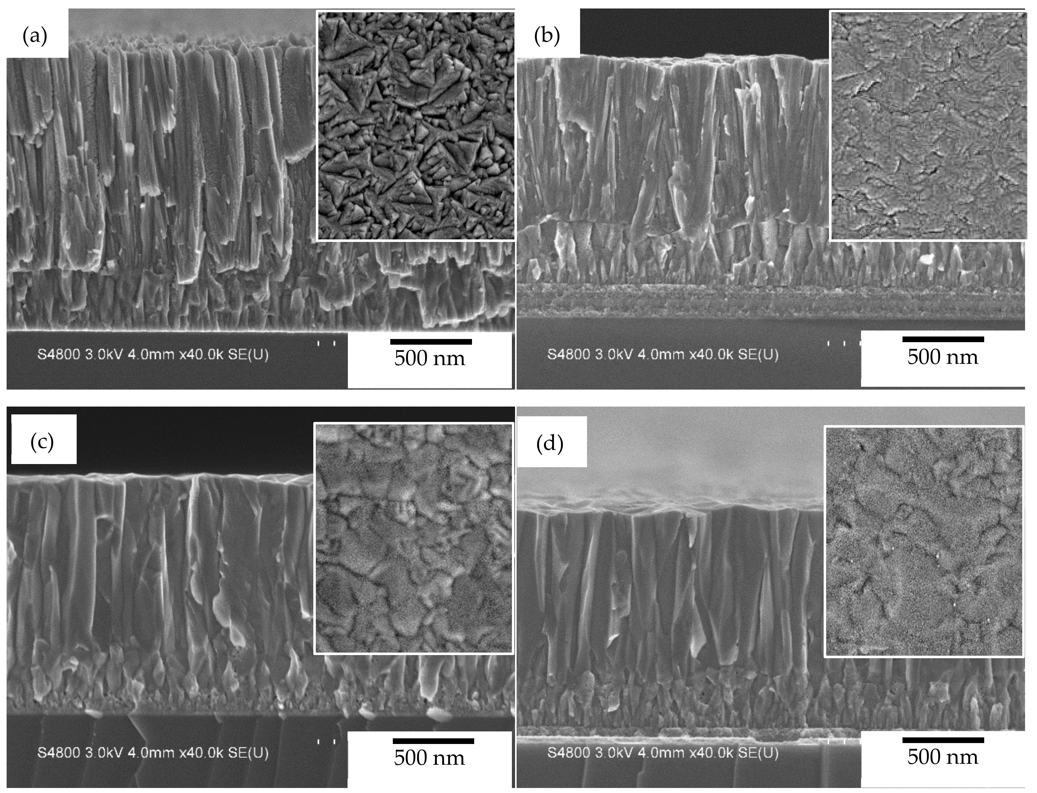 Coatings 10 00542 g005