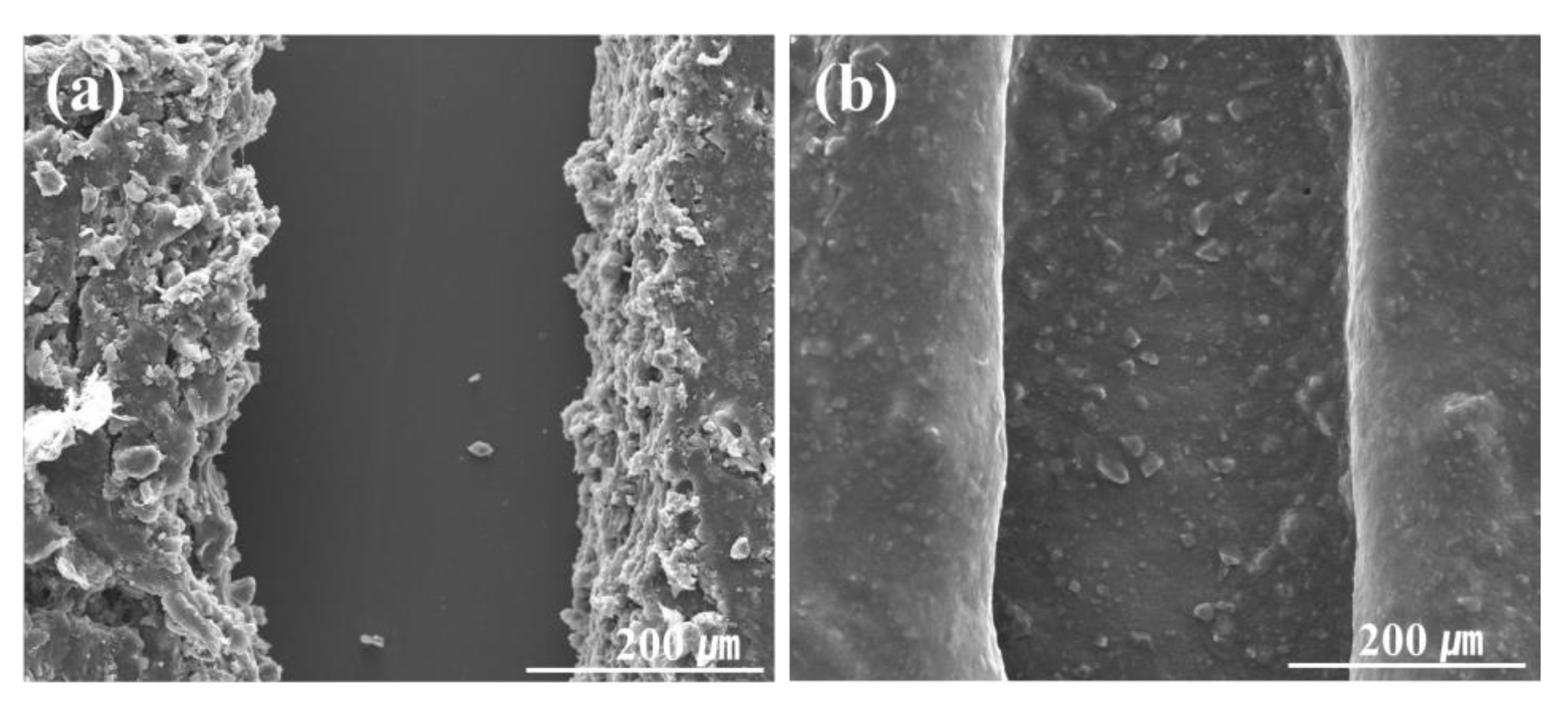 Coatings 10 00543 g008 Coatings 10 00543 g008