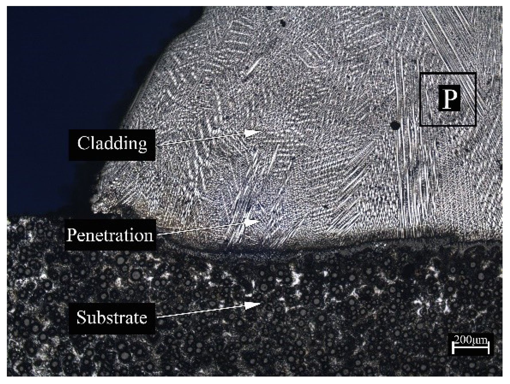 Coatings 10 00544 g002