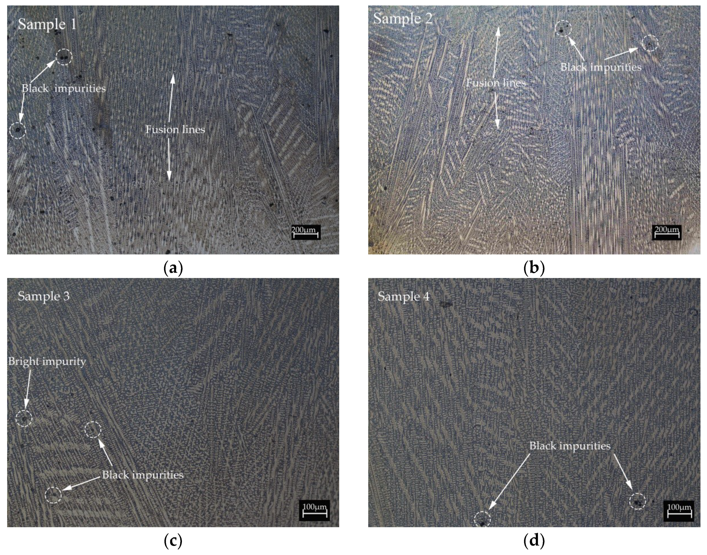 Coatings 10 00544 g004a