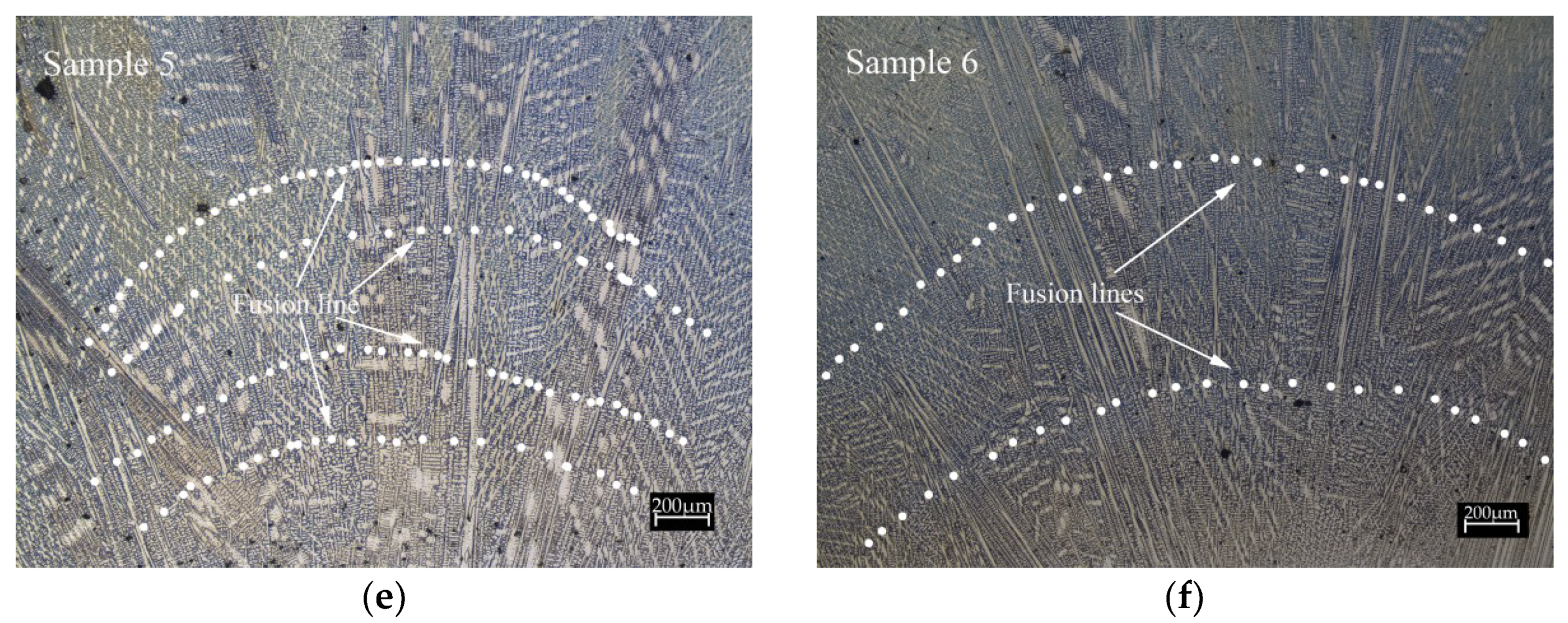 Coatings 10 00544 g004b