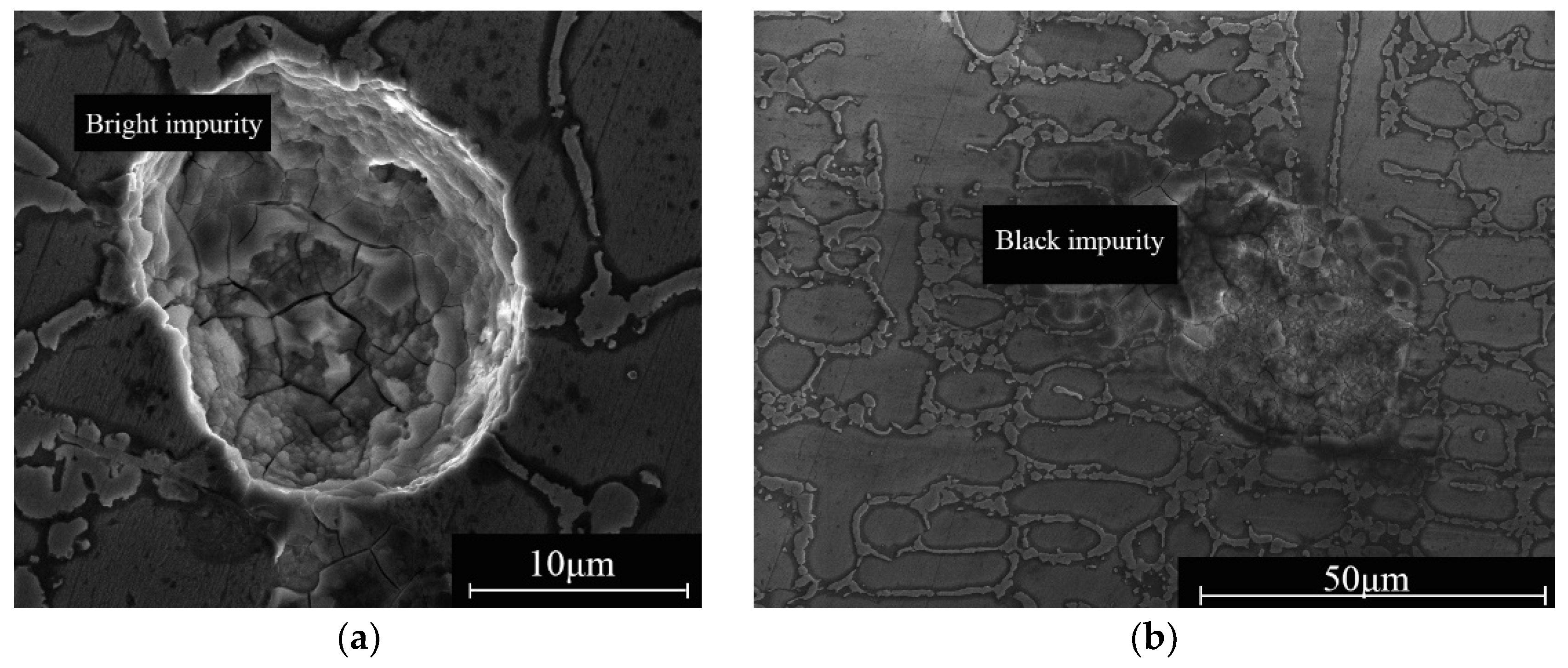 Coatings 10 00544 g005