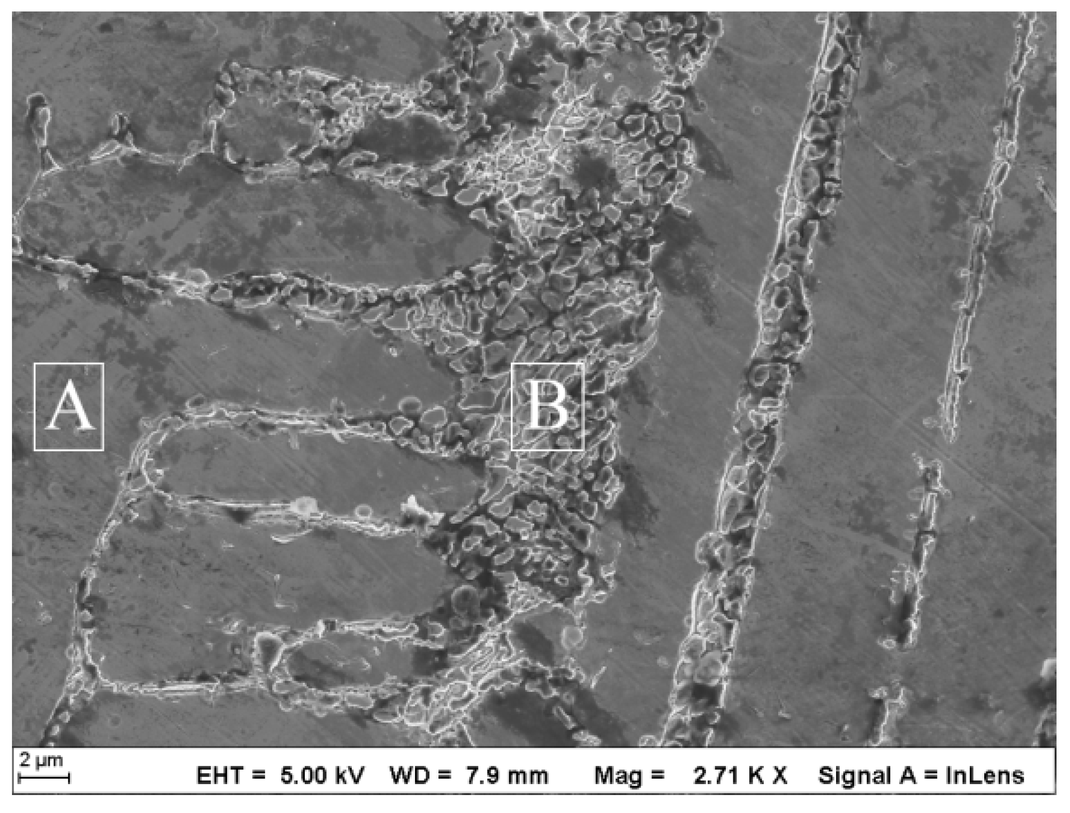 Coatings 10 00544 g009