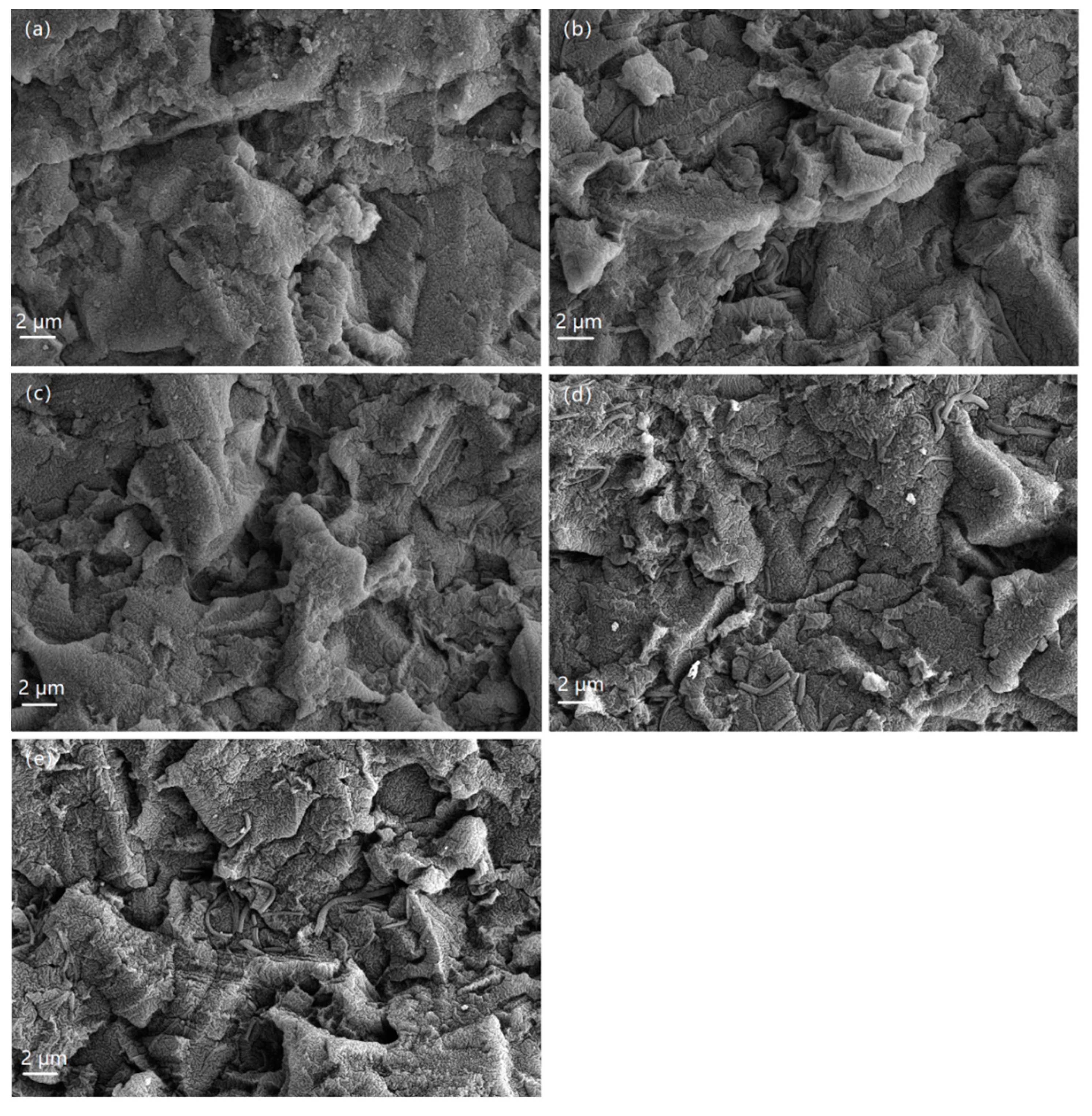 Coatings 10 00545 g002 Coatings 10 00545 g002