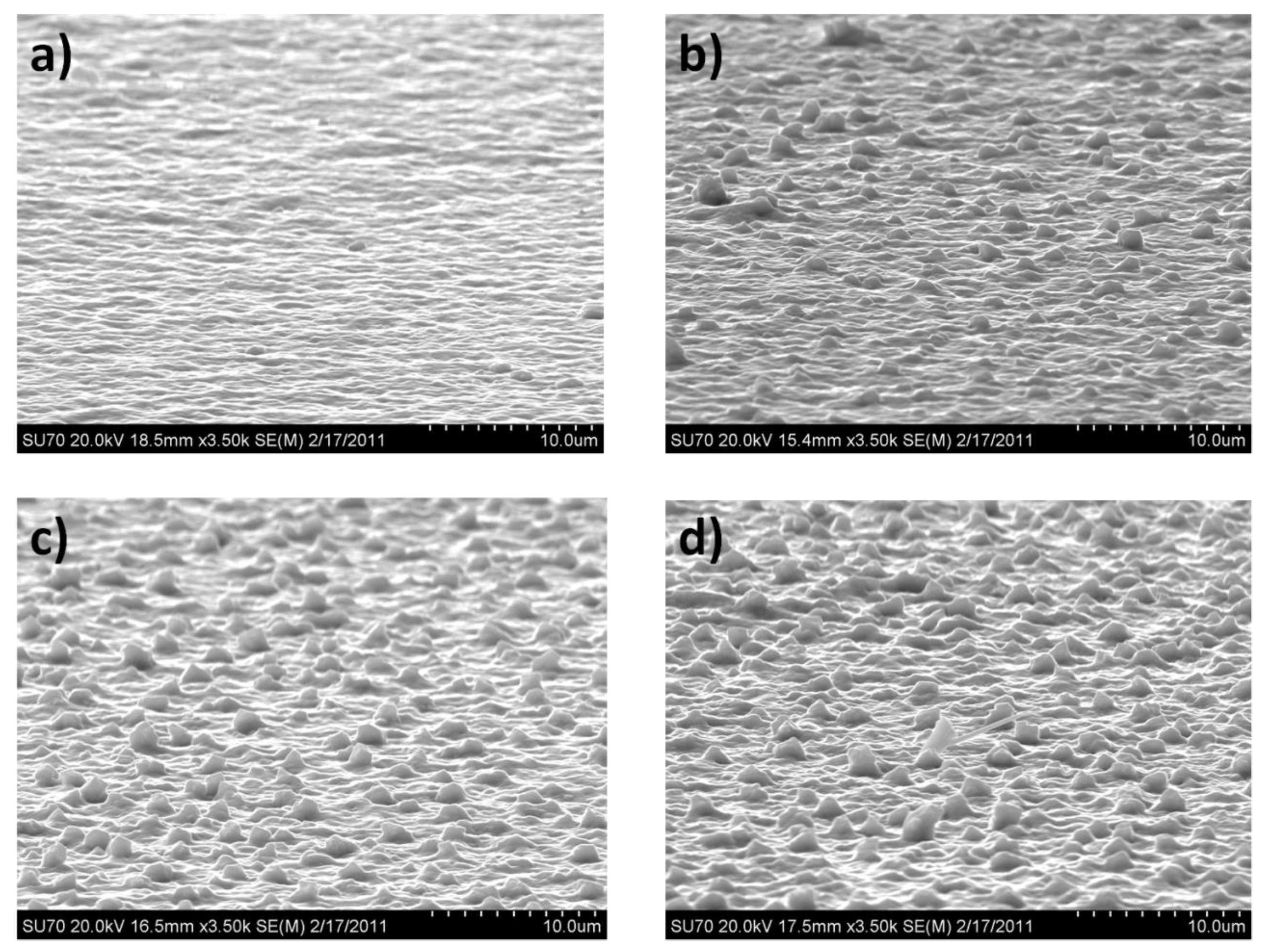 Coatings 10 00548 g003