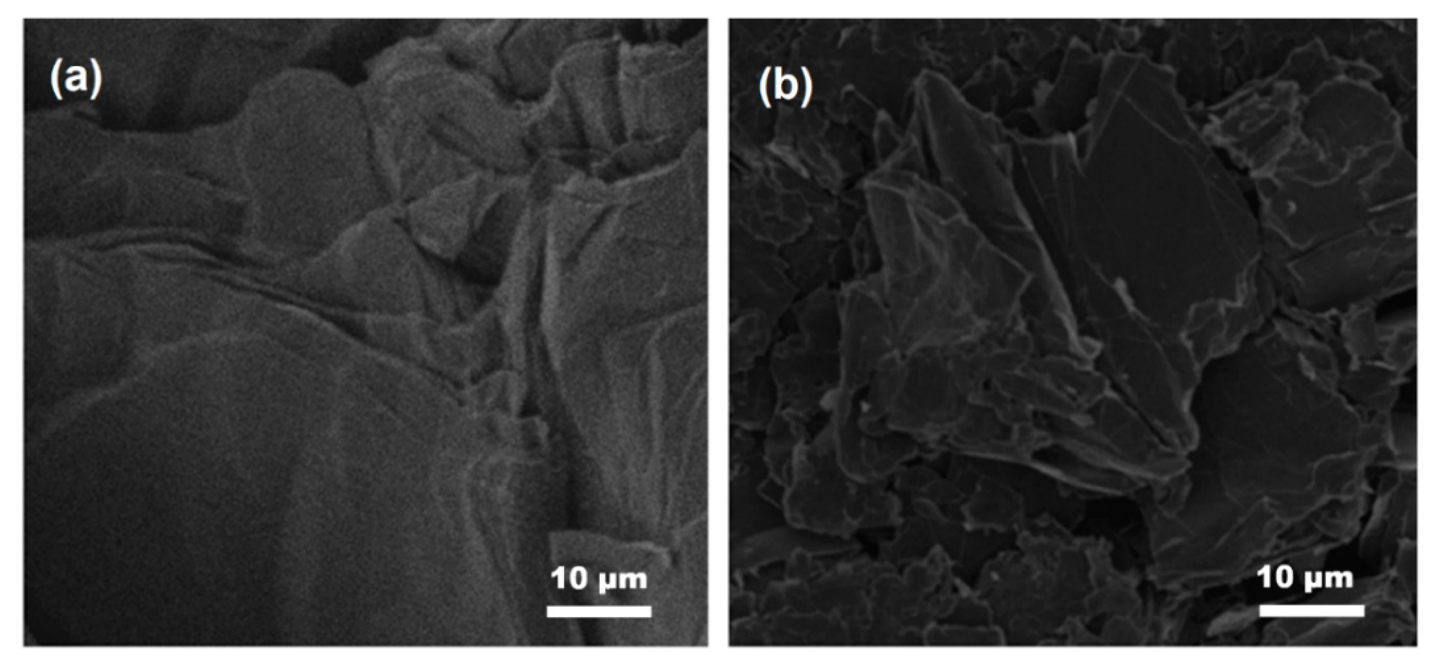 Coatings 10 00551 g002