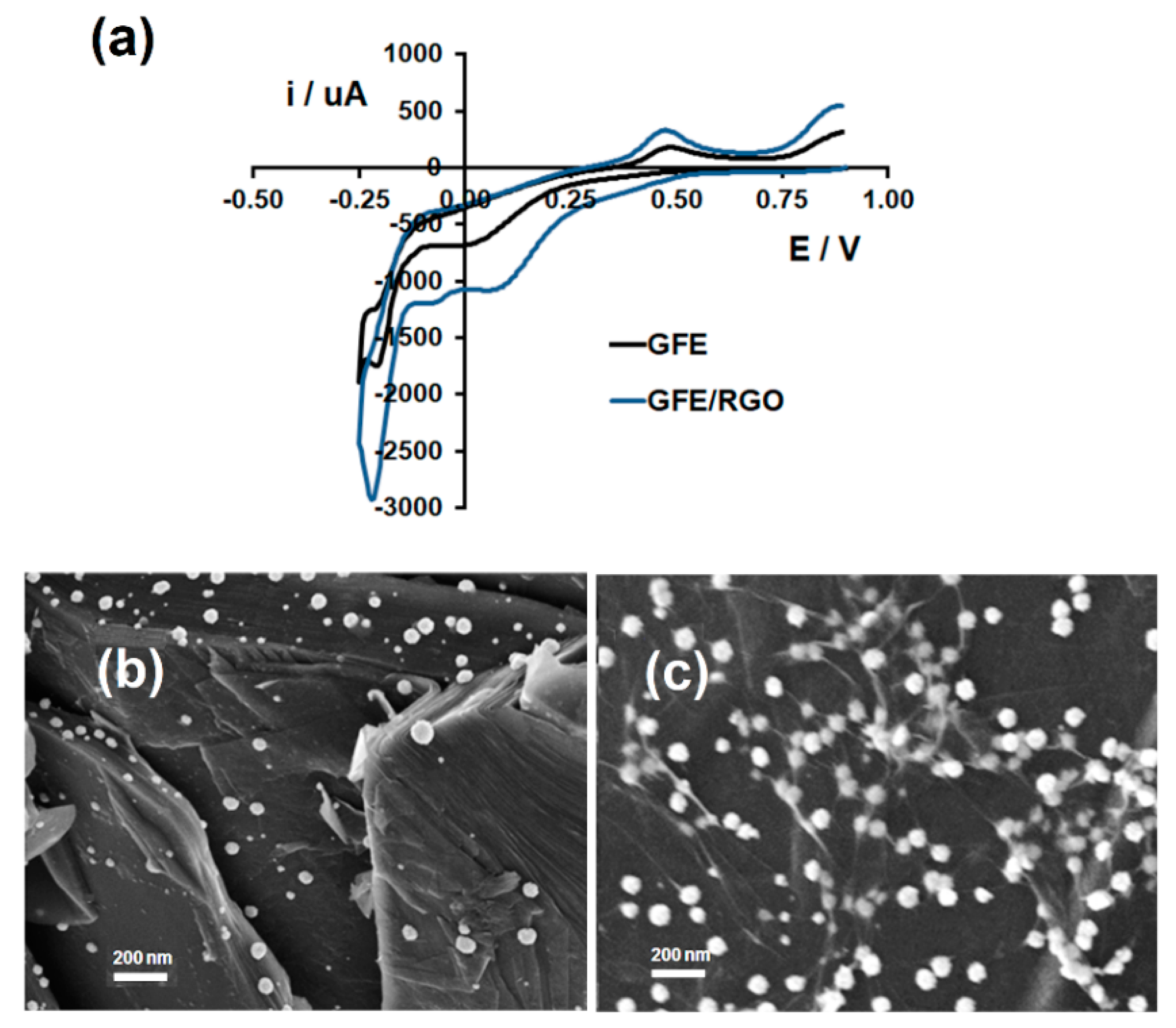 Coatings 10 00551 g003