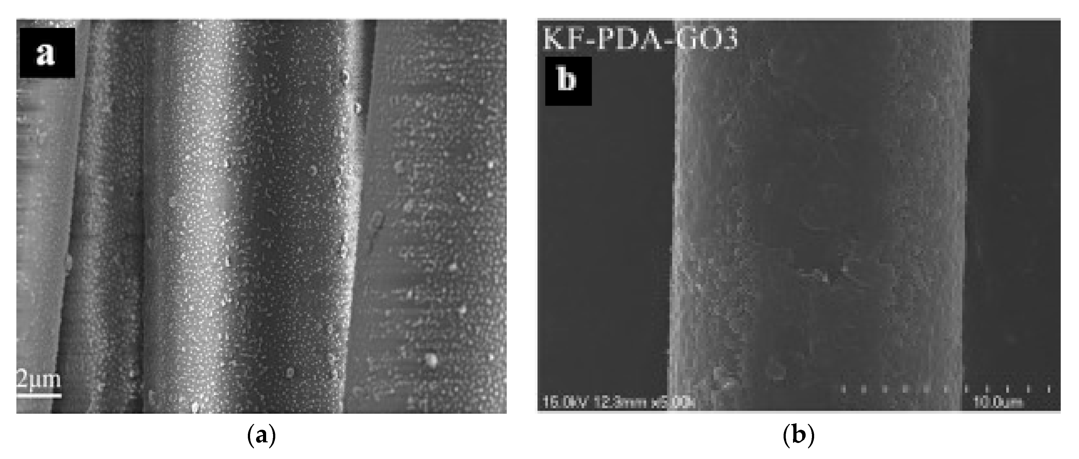 Coatings 10 00556 g004