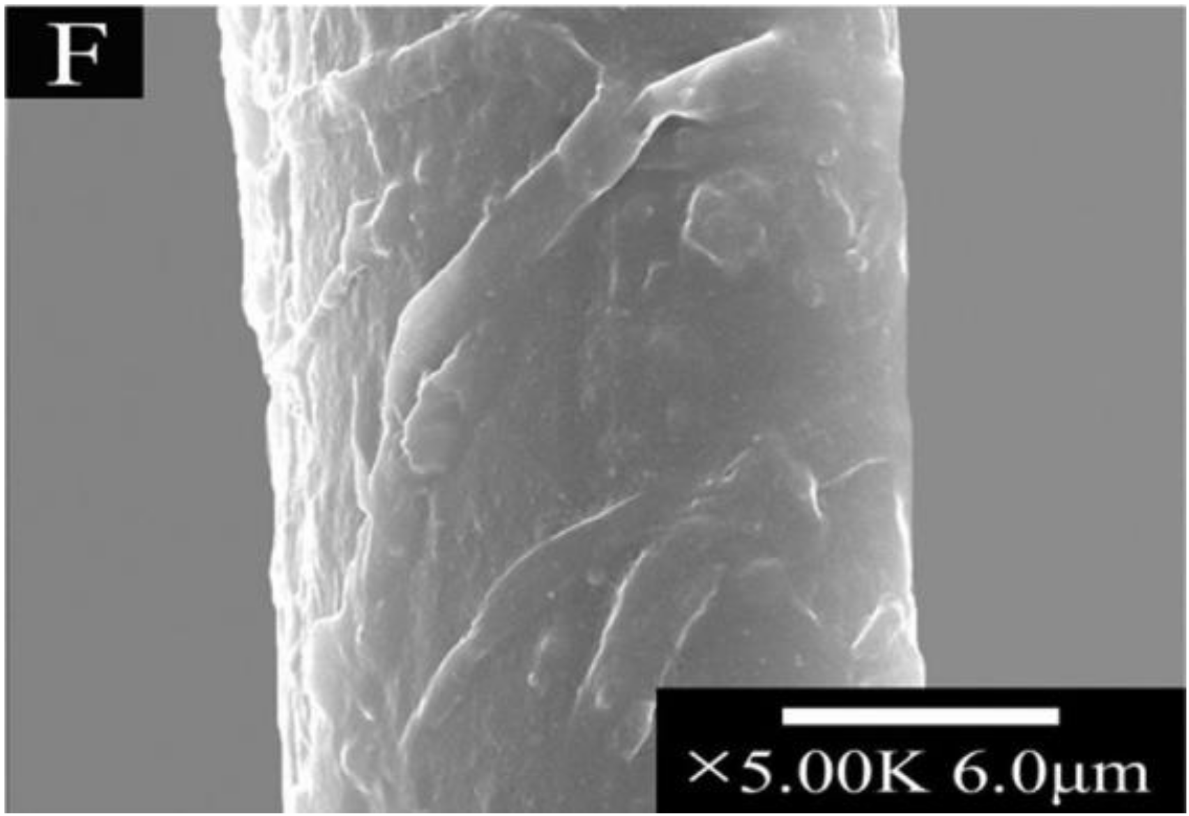 Coatings 10 00556 g005