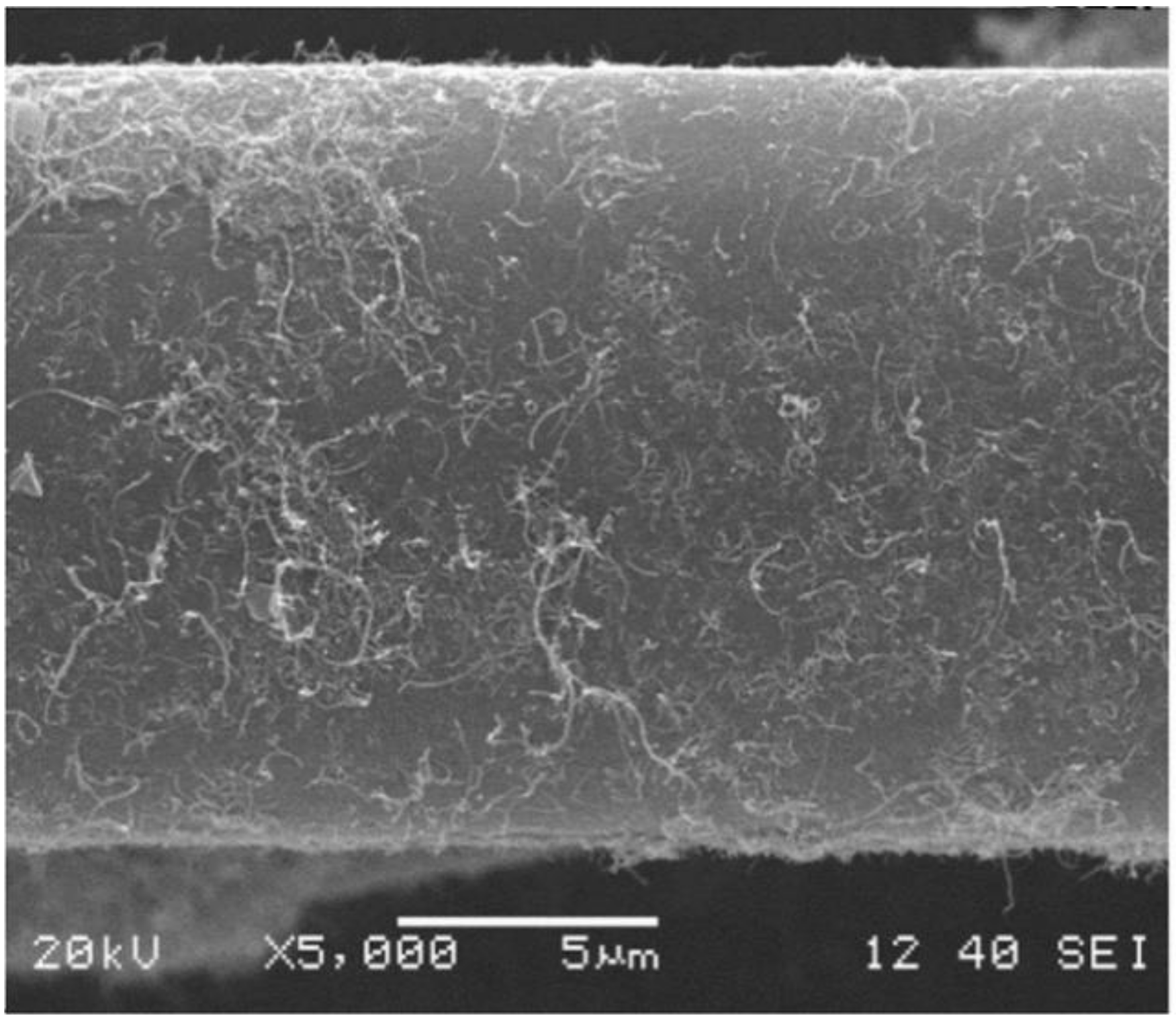 Coatings 10 00556 g006