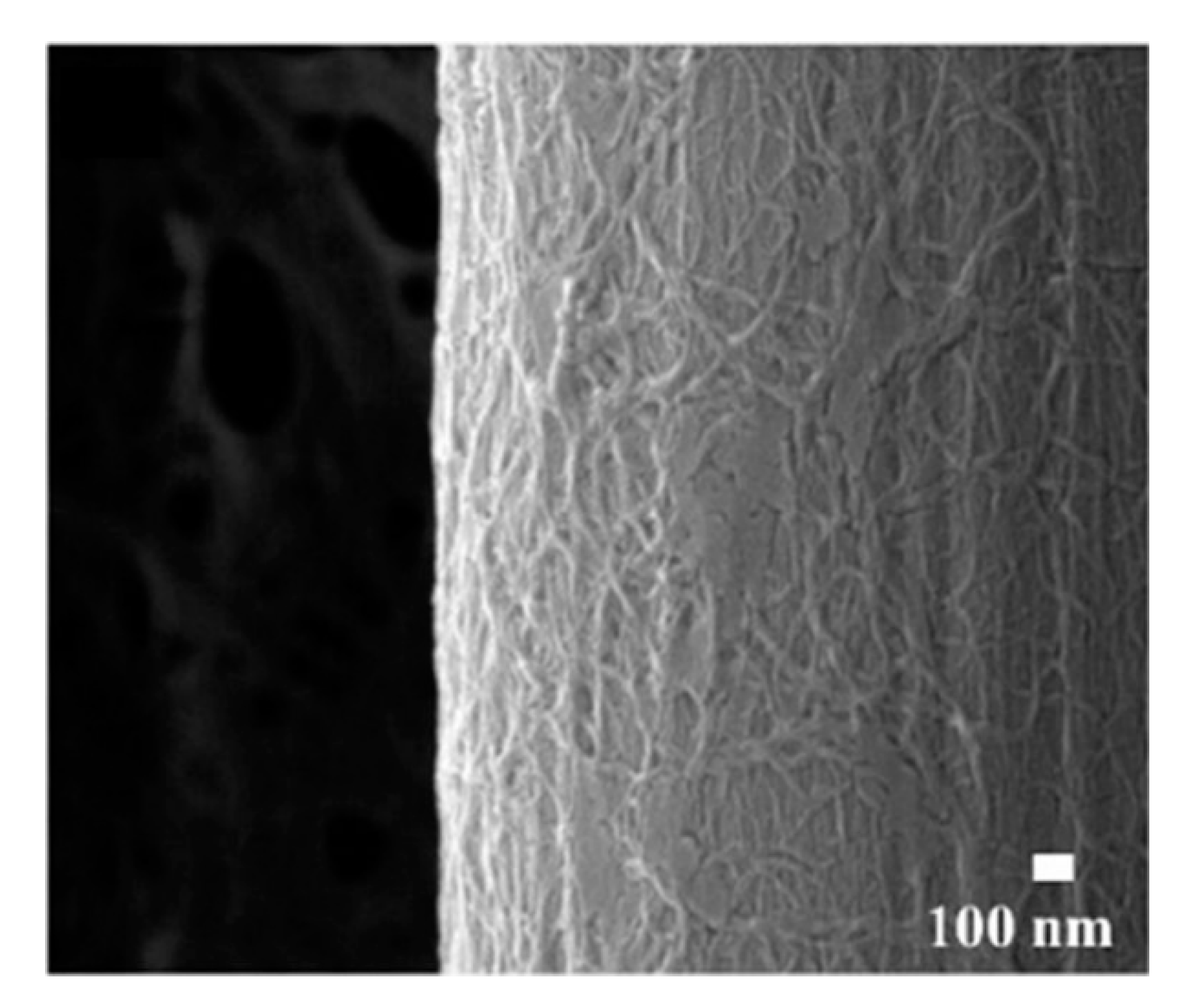 Coatings 10 00556 g008