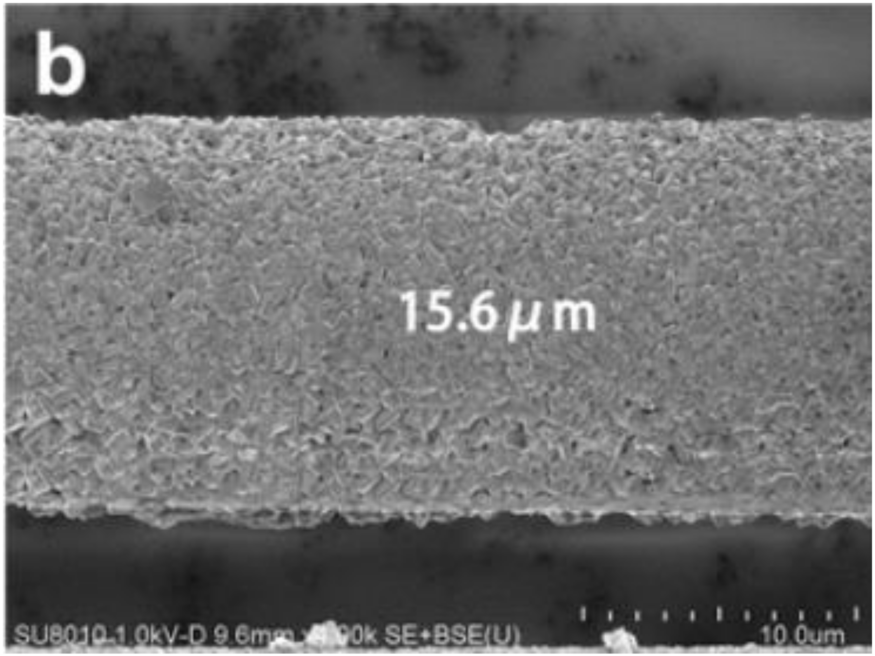 Coatings 10 00556 g010