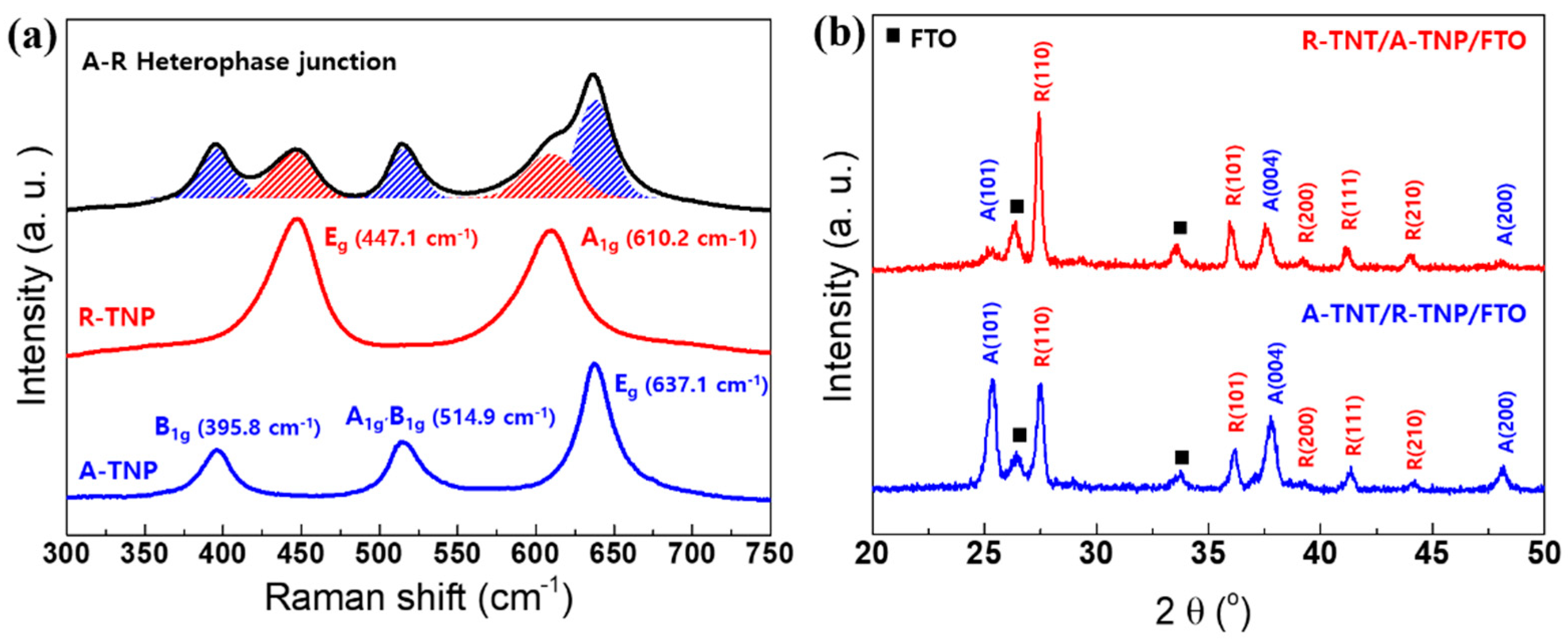 Coatings 10 00557 g002