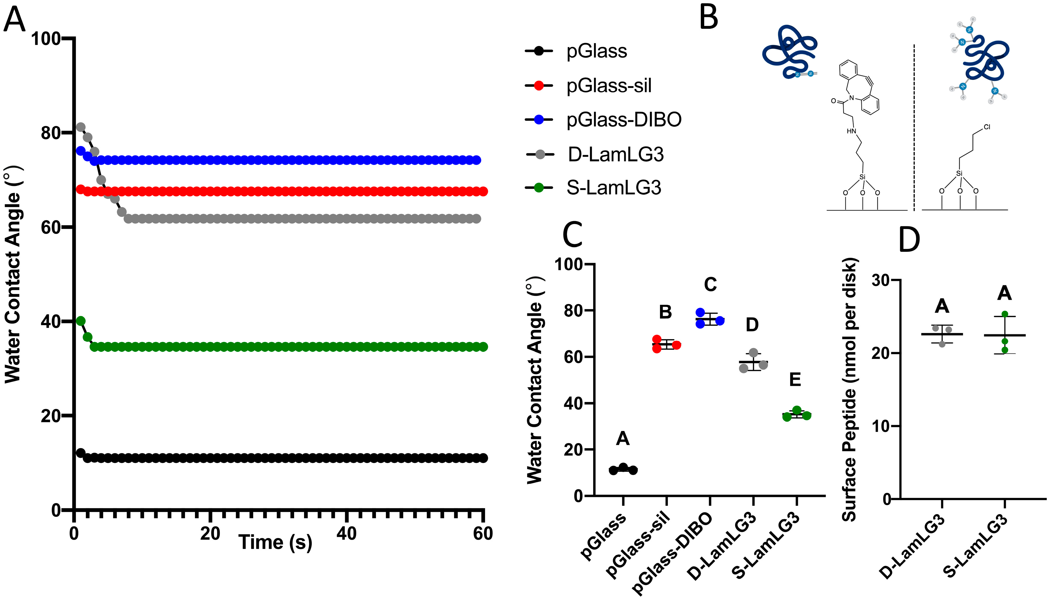 Coatings 10 00560 g002