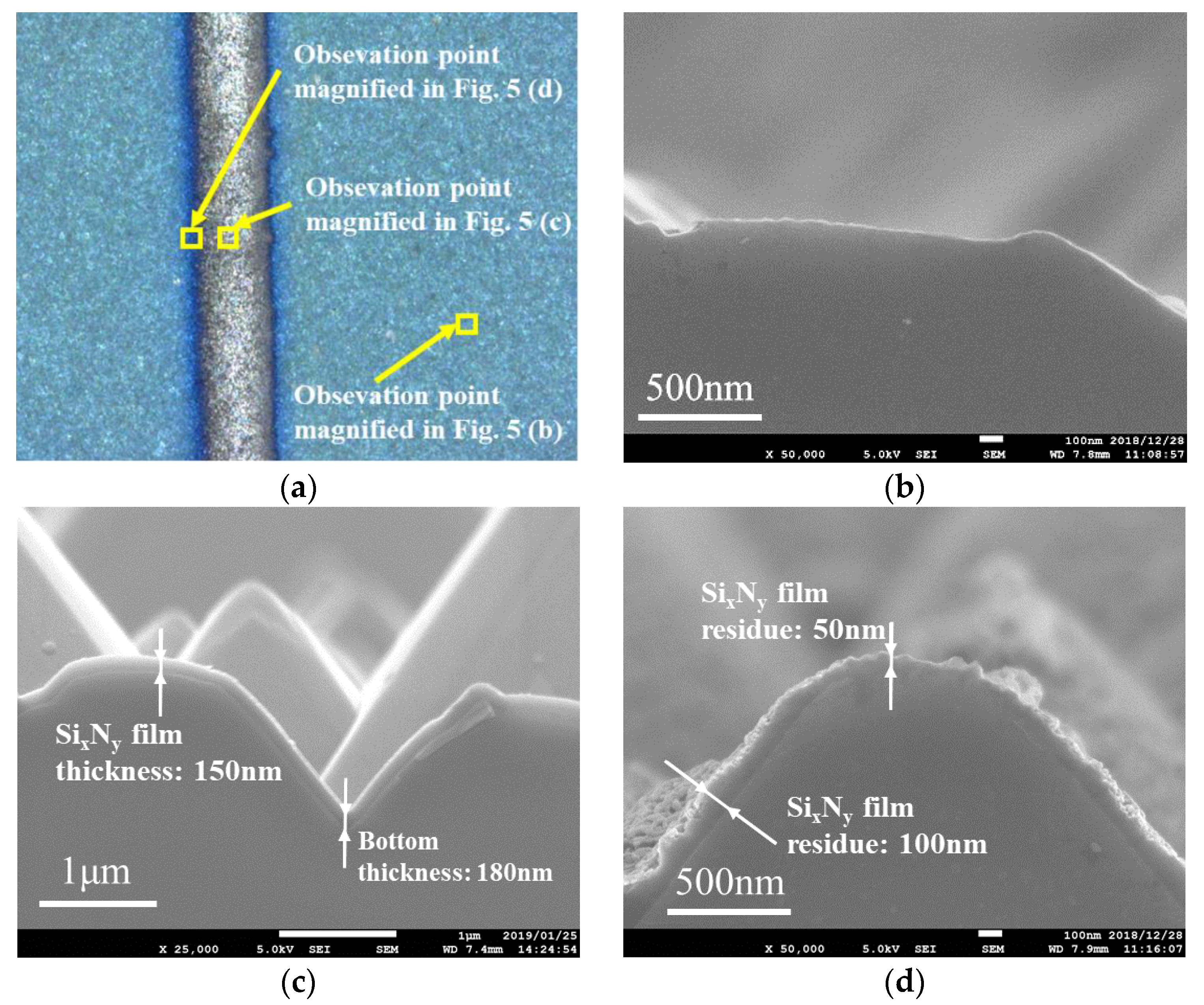 Coatings 10 00563 g005