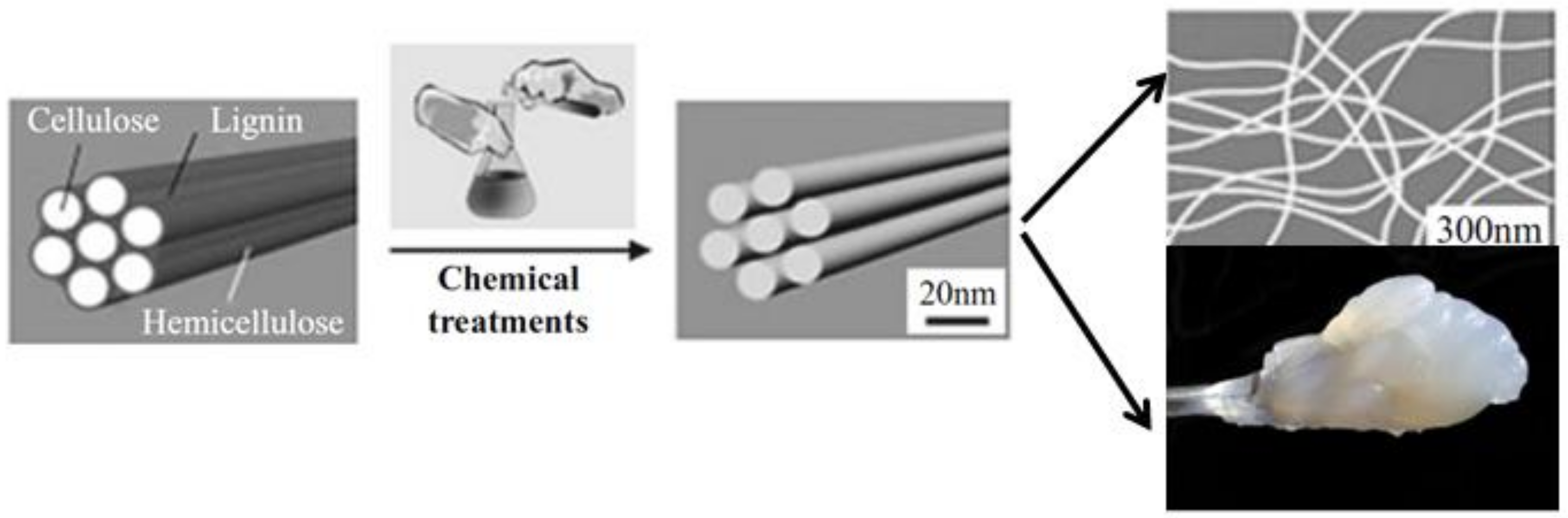 Coatings 10 00566 g003 Coatings 10 00566 g003