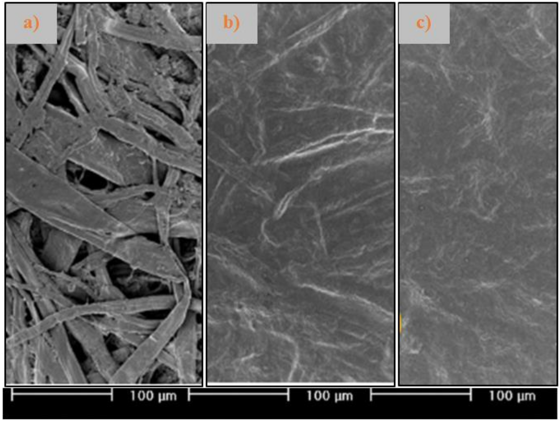 Coatings 10 00566 g004 Coatings 10 00566 g004
