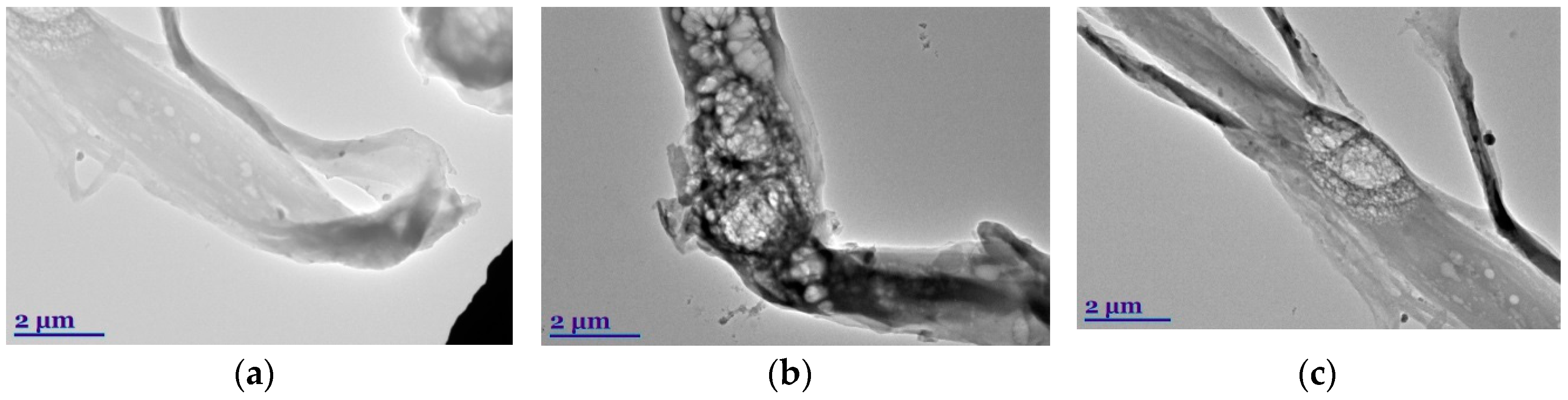 Coatings 10 00567 g003 Coatings 10 00567 g003