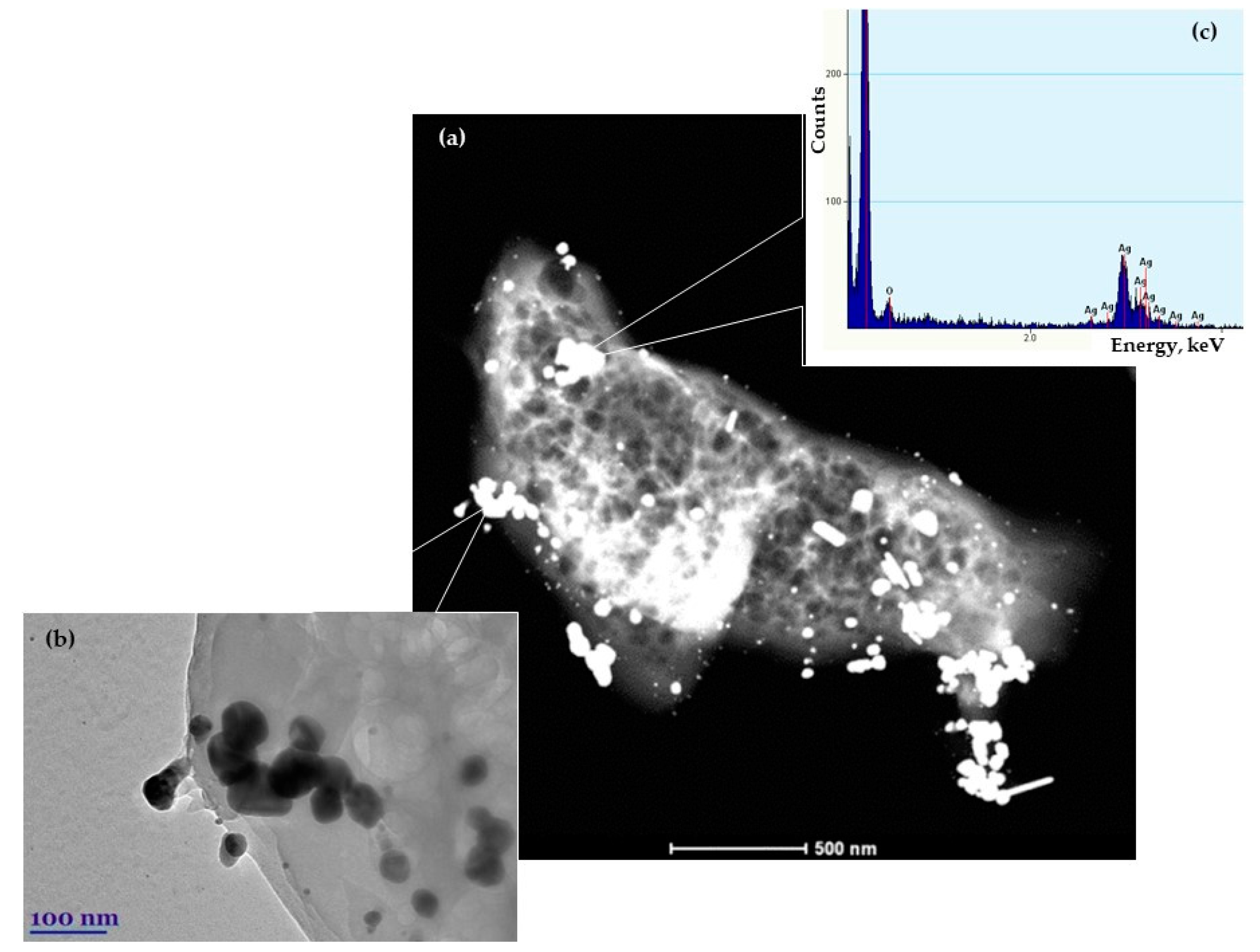 Coatings 10 00567 g009 Coatings 10 00567 g009