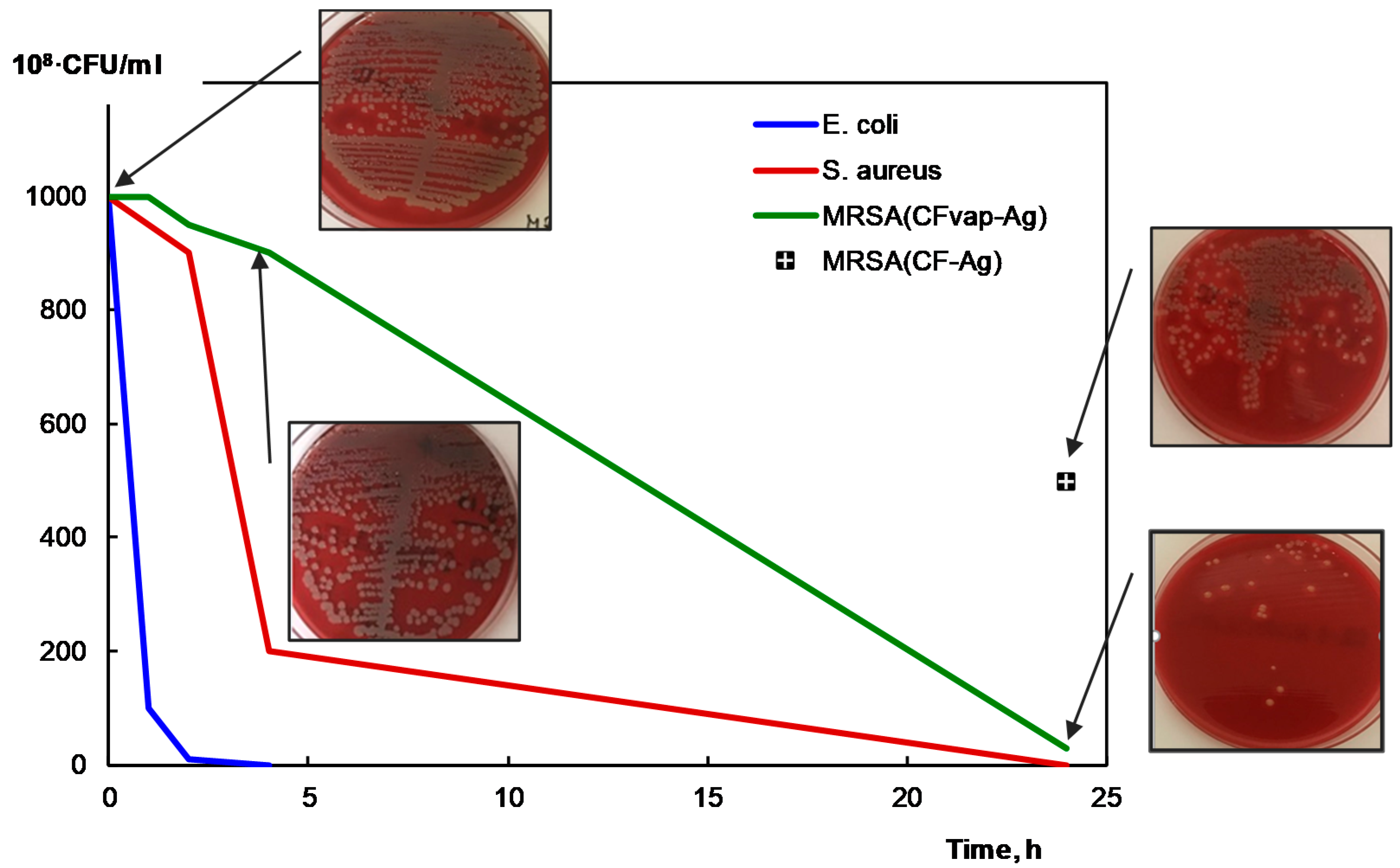 Coatings 10 00567 g011 Coatings 10 00567 g011