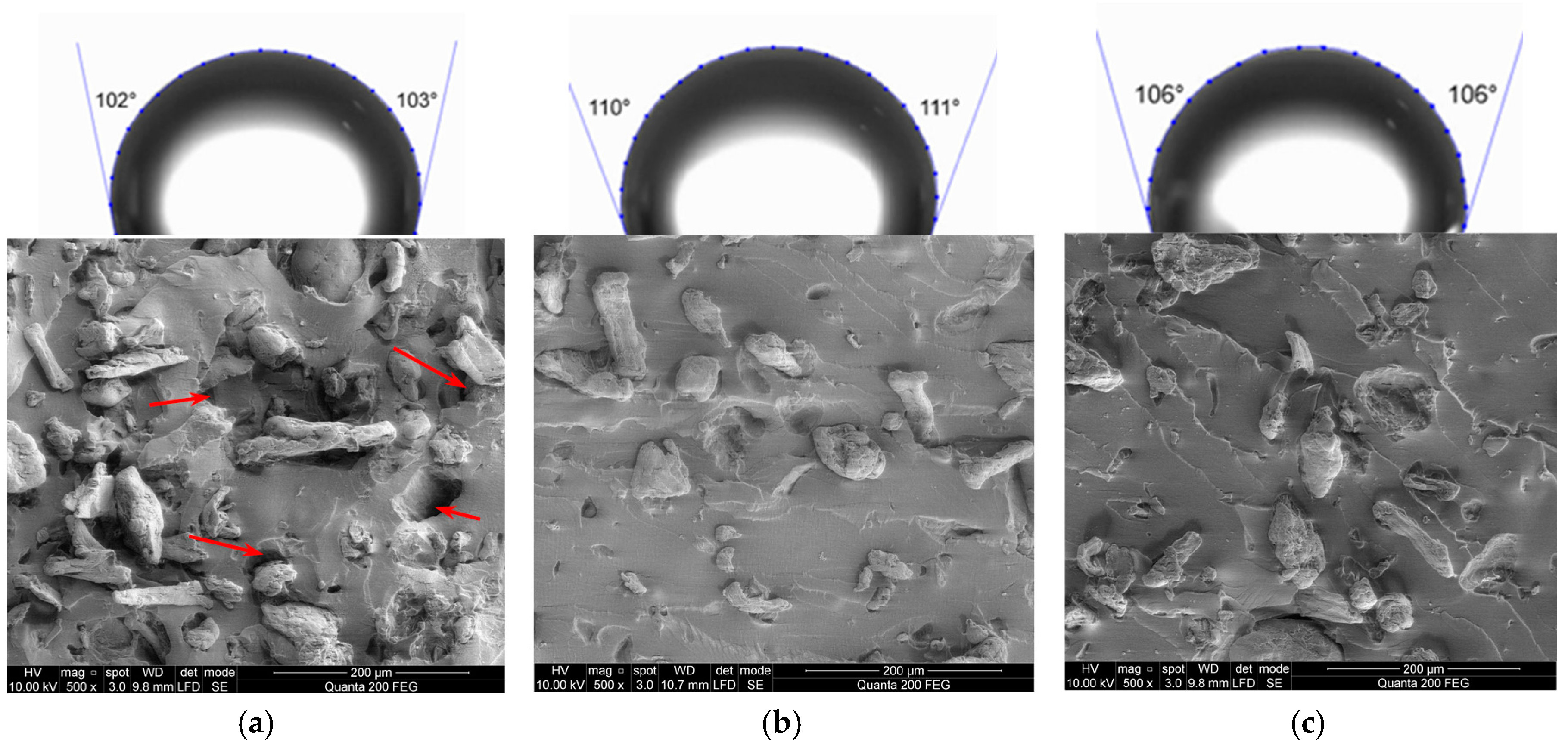Coatings 10 00567 g013 Coatings 10 00567 g013